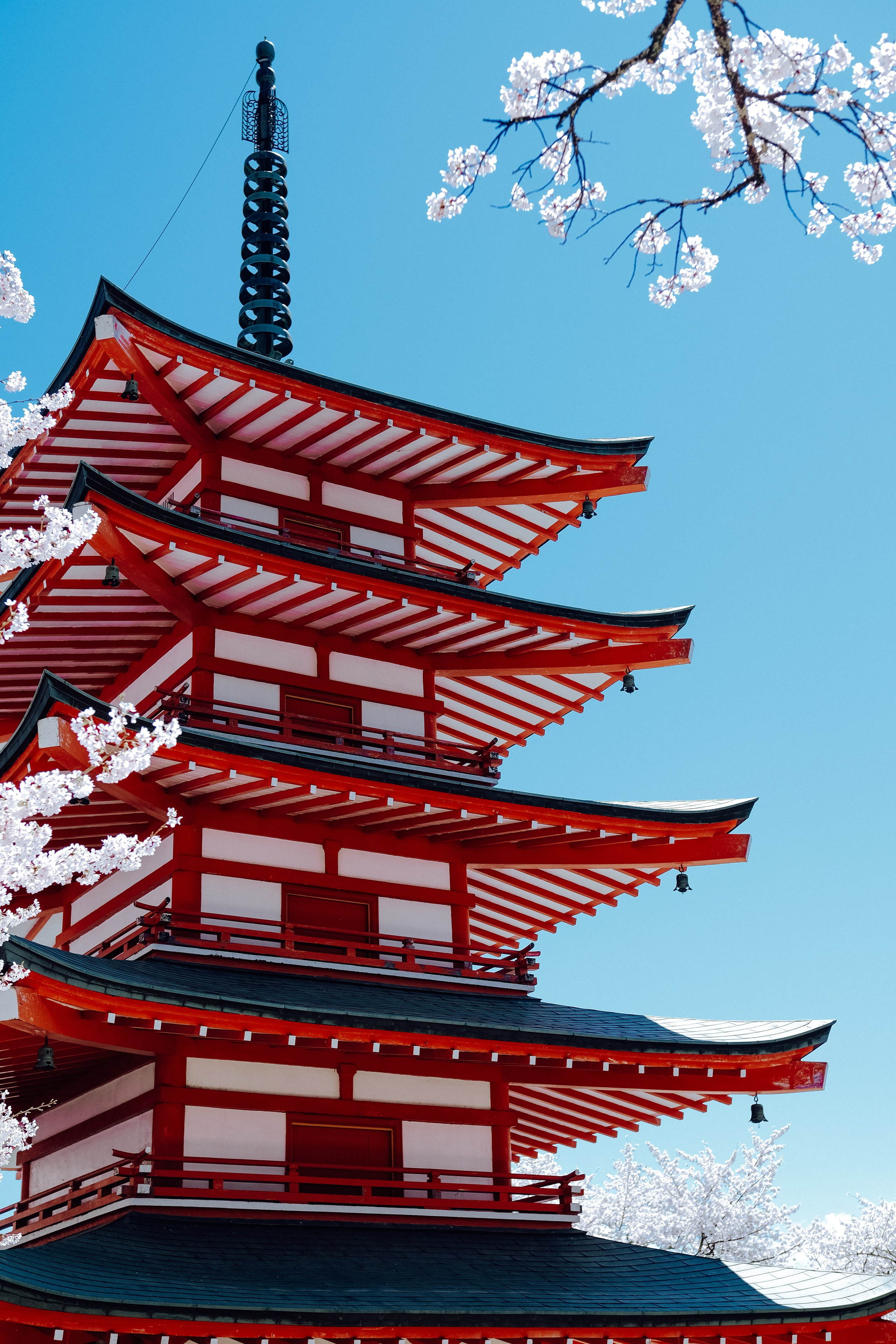 Nippon. Главная