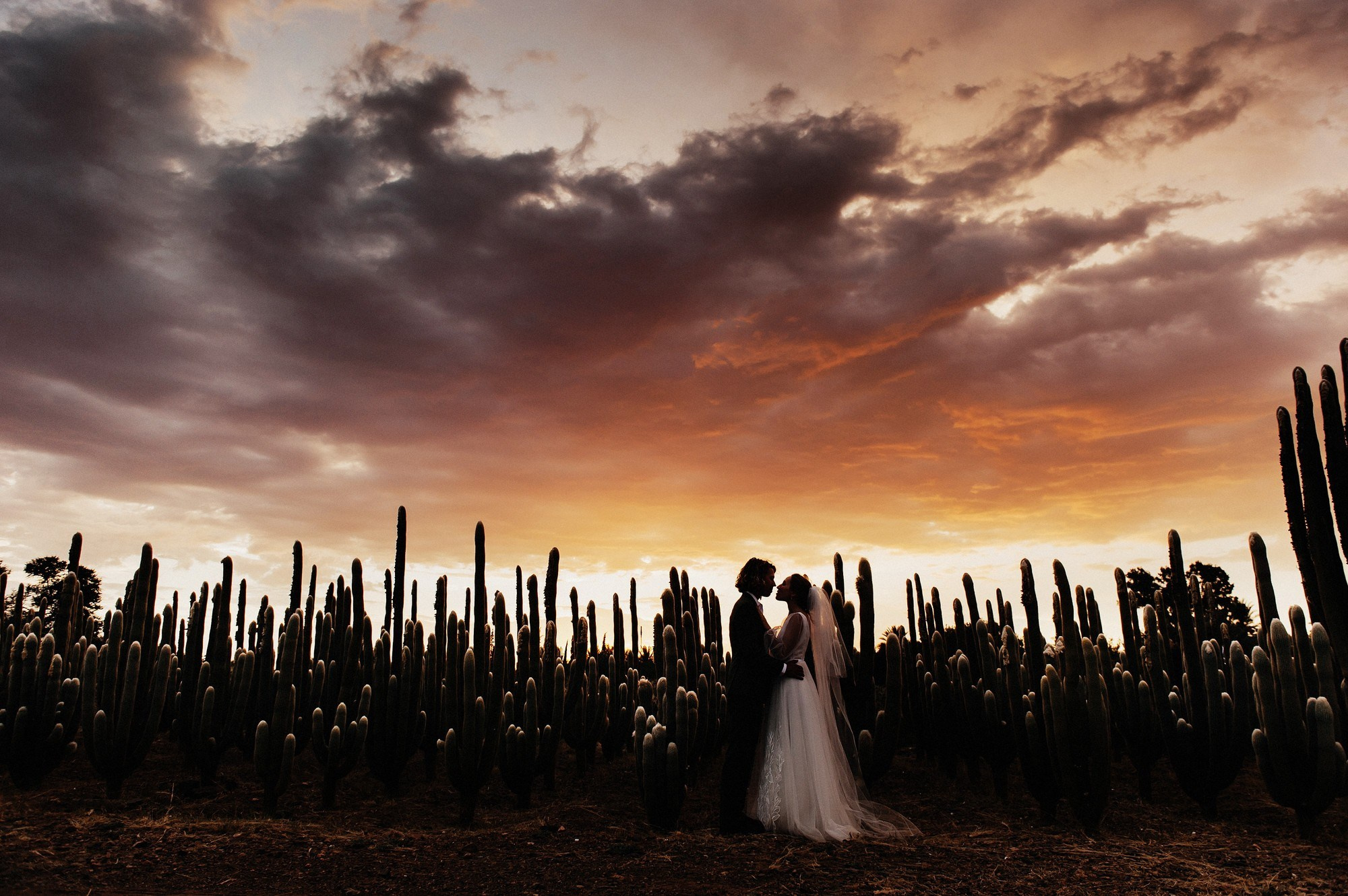 Kevin+Jenny MOROCCO. Свадебный фотограф Игорь Булгак