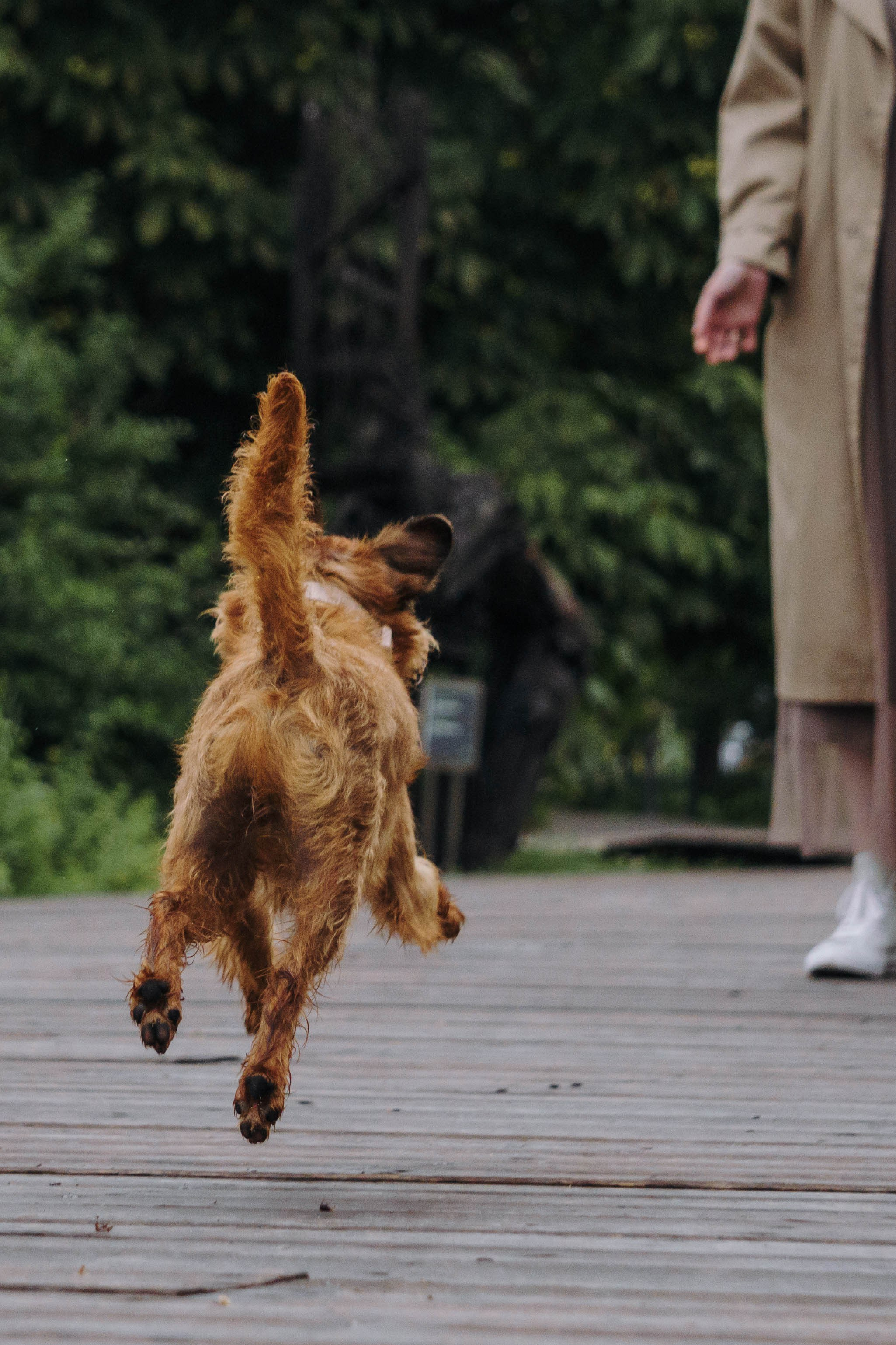 Наташа, Сережа и Хавьер. Фотограф-анималист Ксения Воробьева, Москва