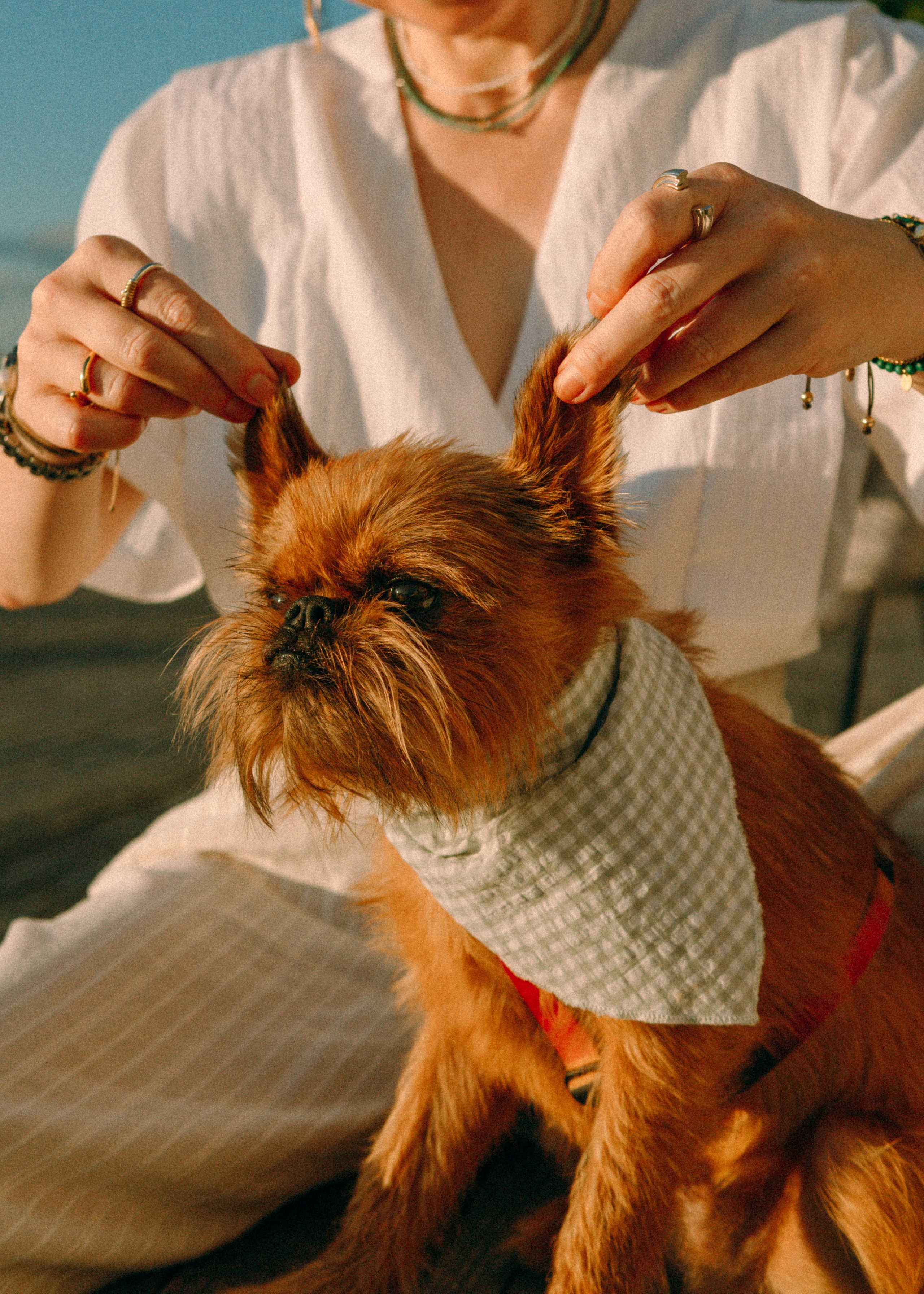 Лена и Альфи. Фотограф-анималист Ксения Воробьева, Москва