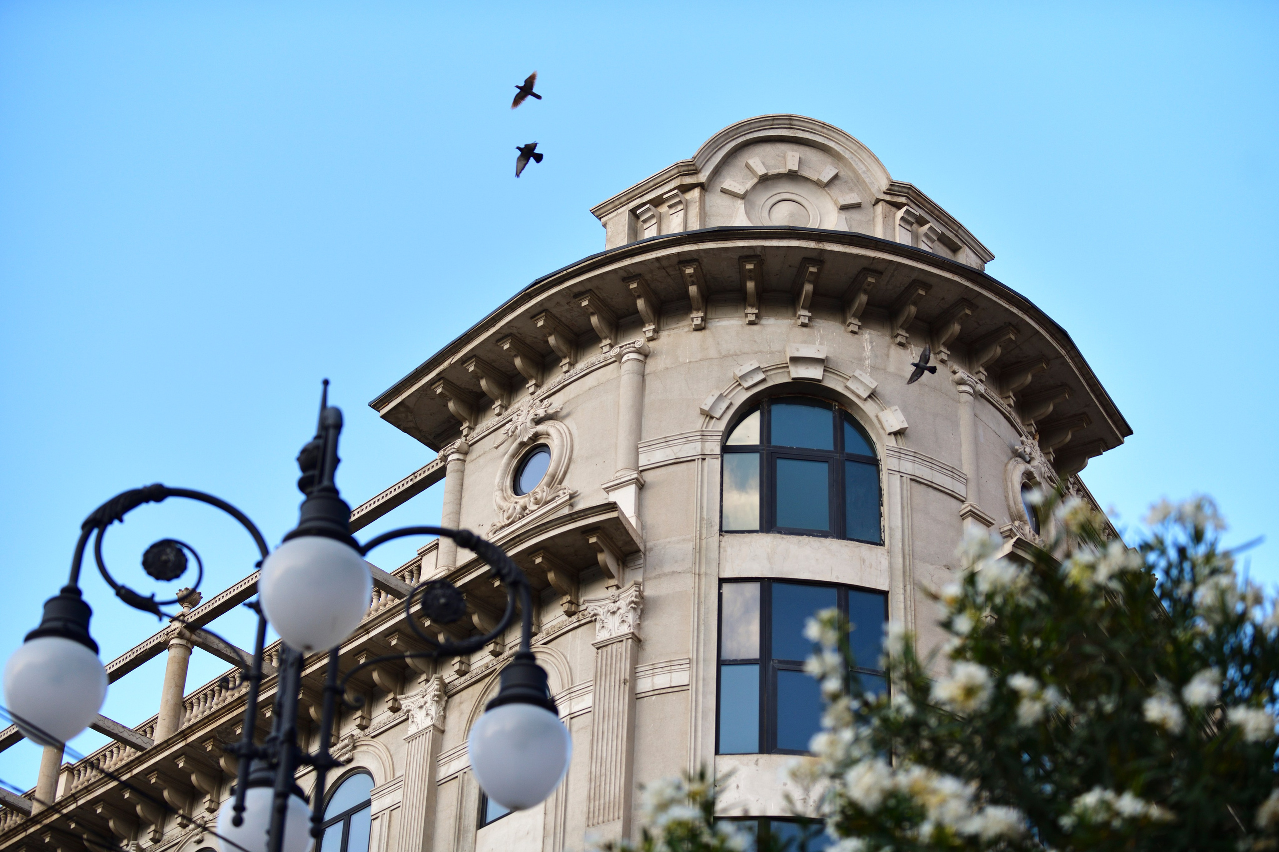 Переход с Nikon D850 на Z7: честный опыт профессионального фотографа. Фотограф для дизайнеров, застройщиков и бизнеса — интерьеры и архитектура — Роман Свободный в Москве и по России