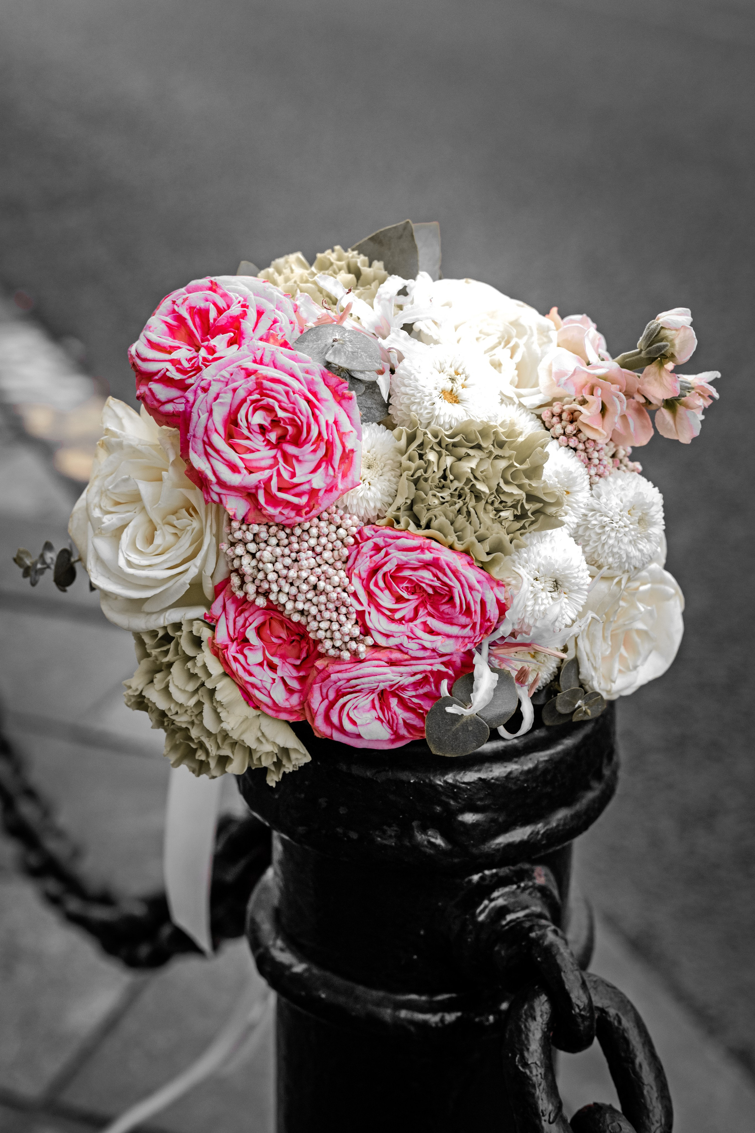 Светлана и Евгений. Портфолио