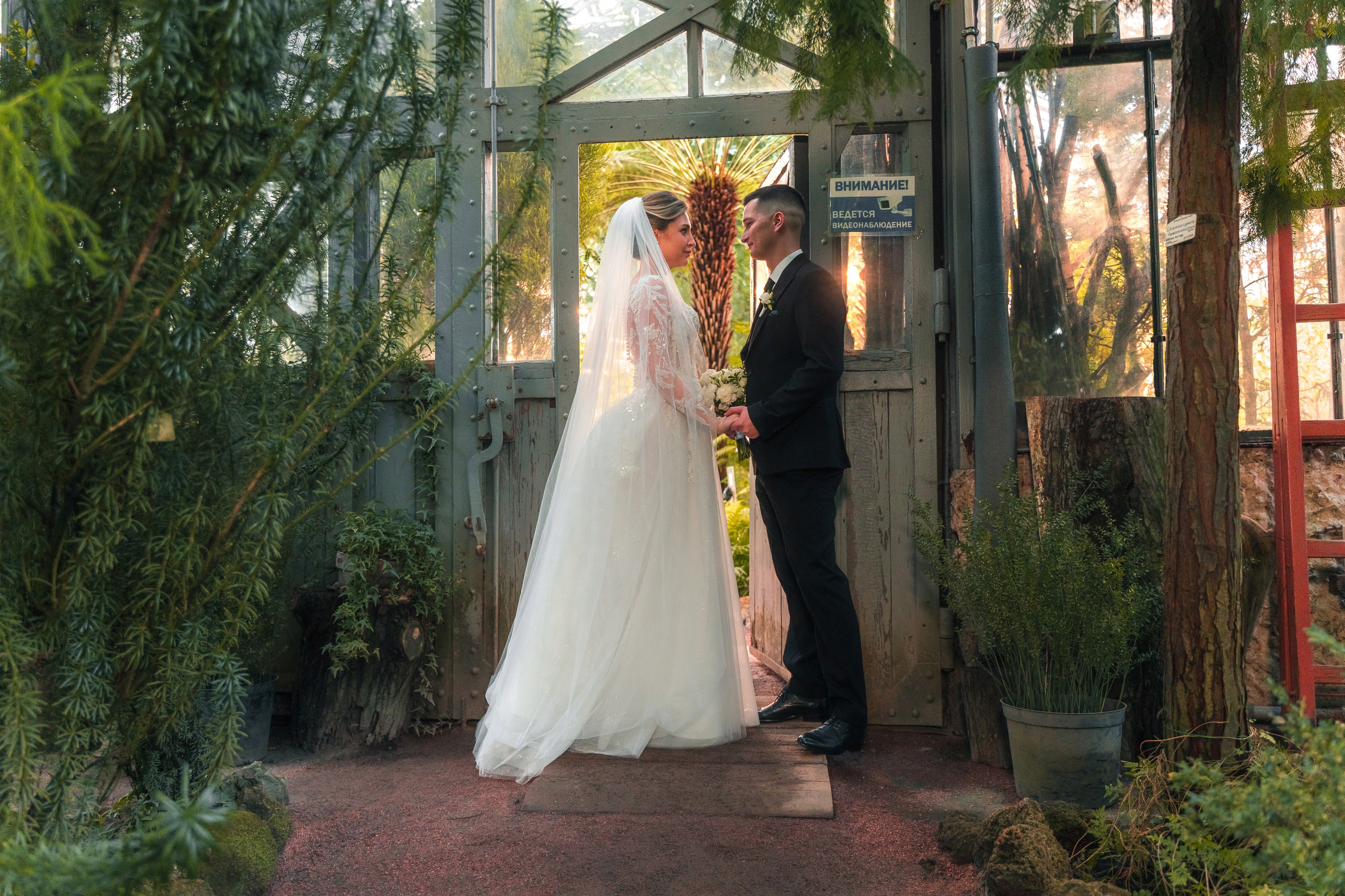 Евгений + Елена