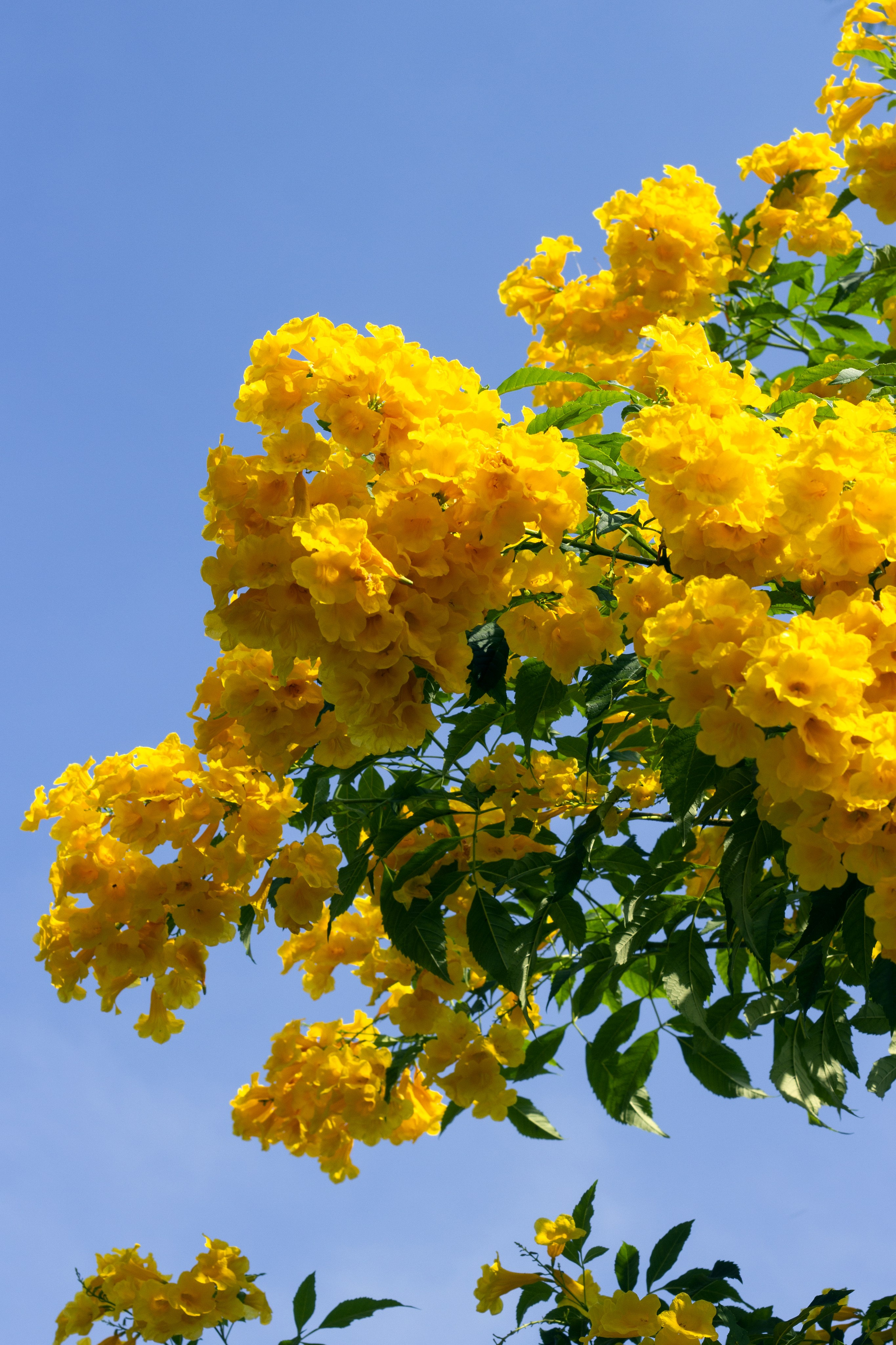 Кизя Мисриева — фотограф: плёнка, цифра. Москва и не только