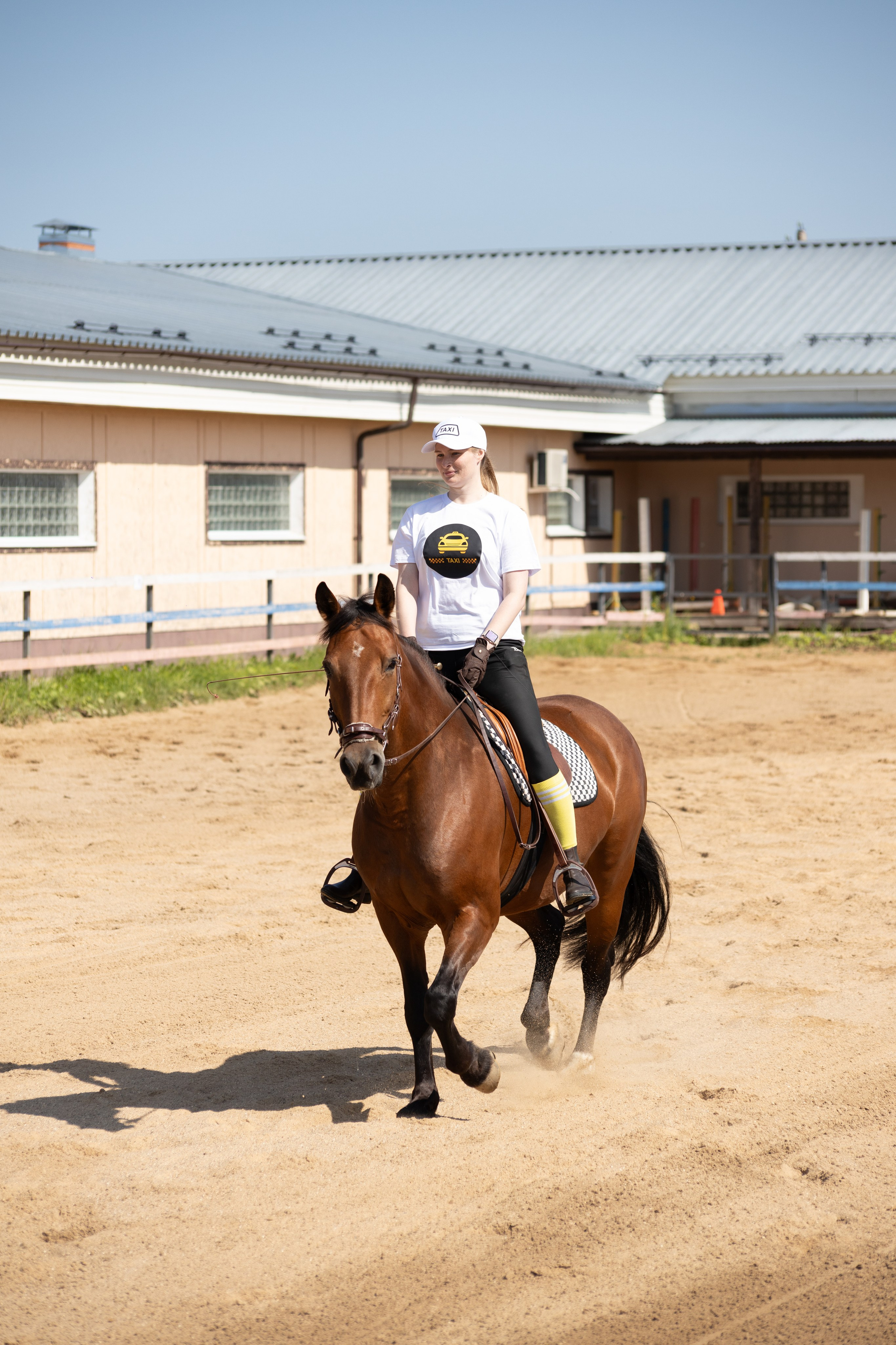 Конюшня. Фотограф в Москве и Истре
