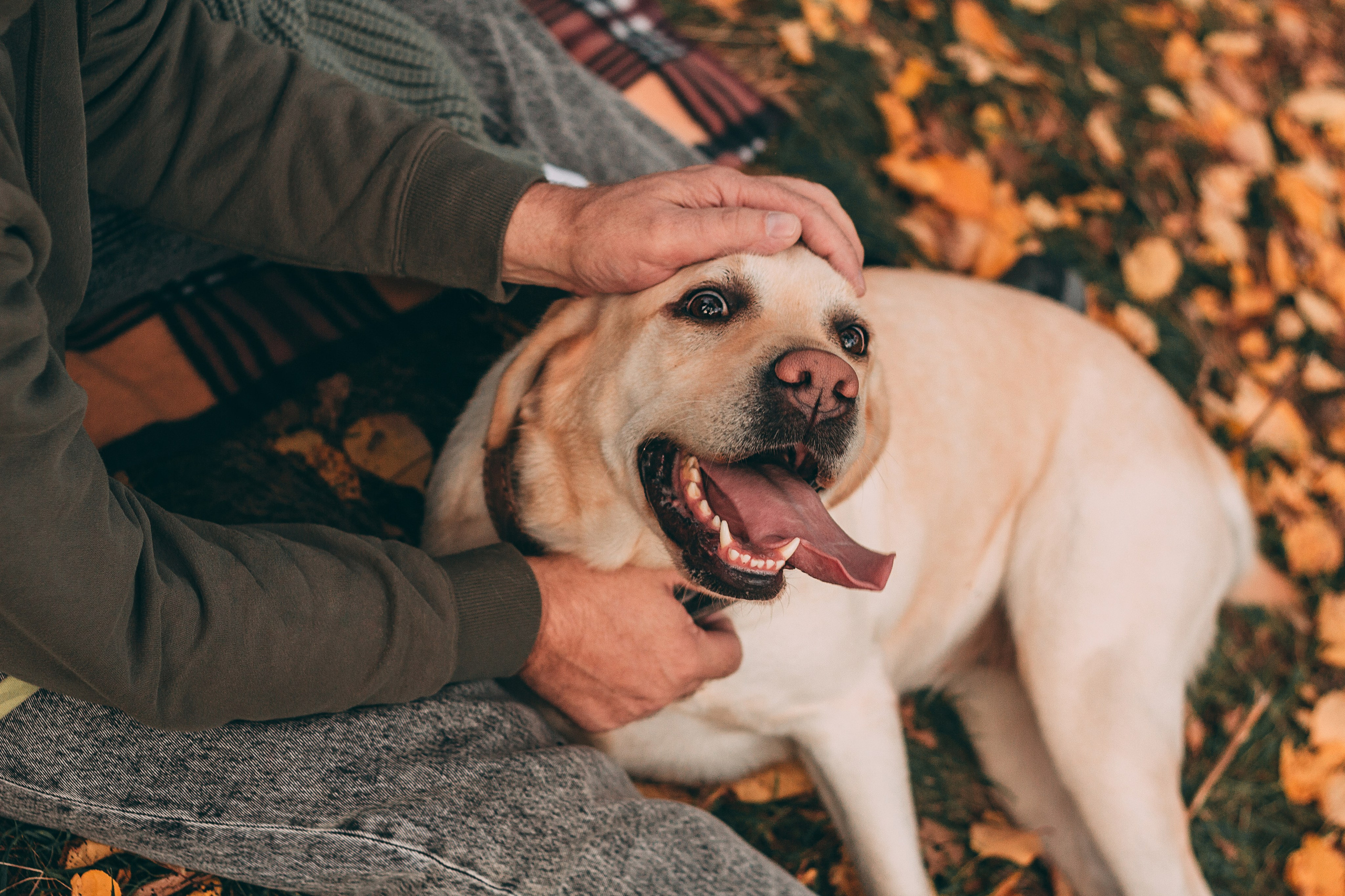 Осенняя прогулка. Семейный фотограф в Ростове-на-Дону Безкишкина Татьяна