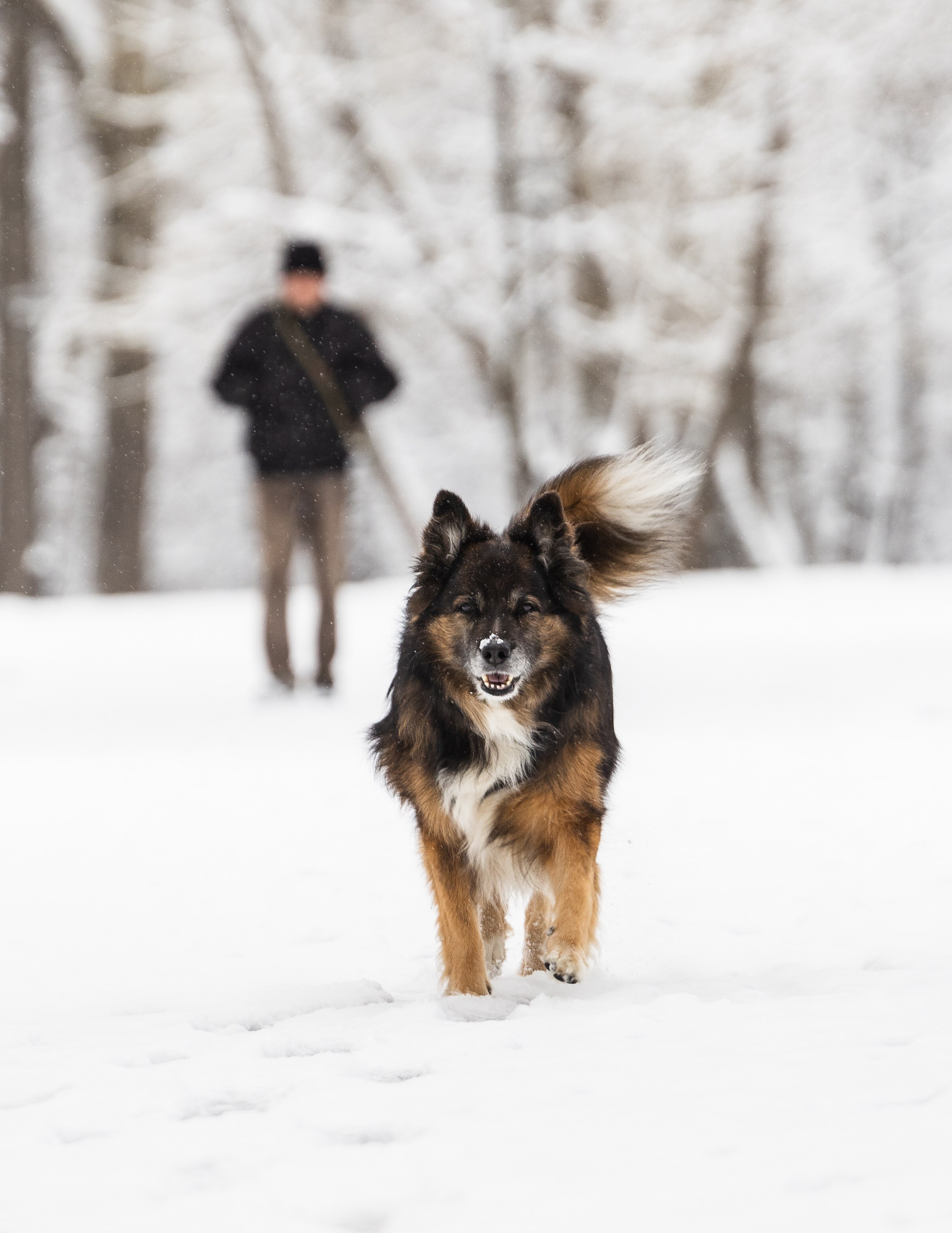 Животные. Фотограф Владимир Охрименко