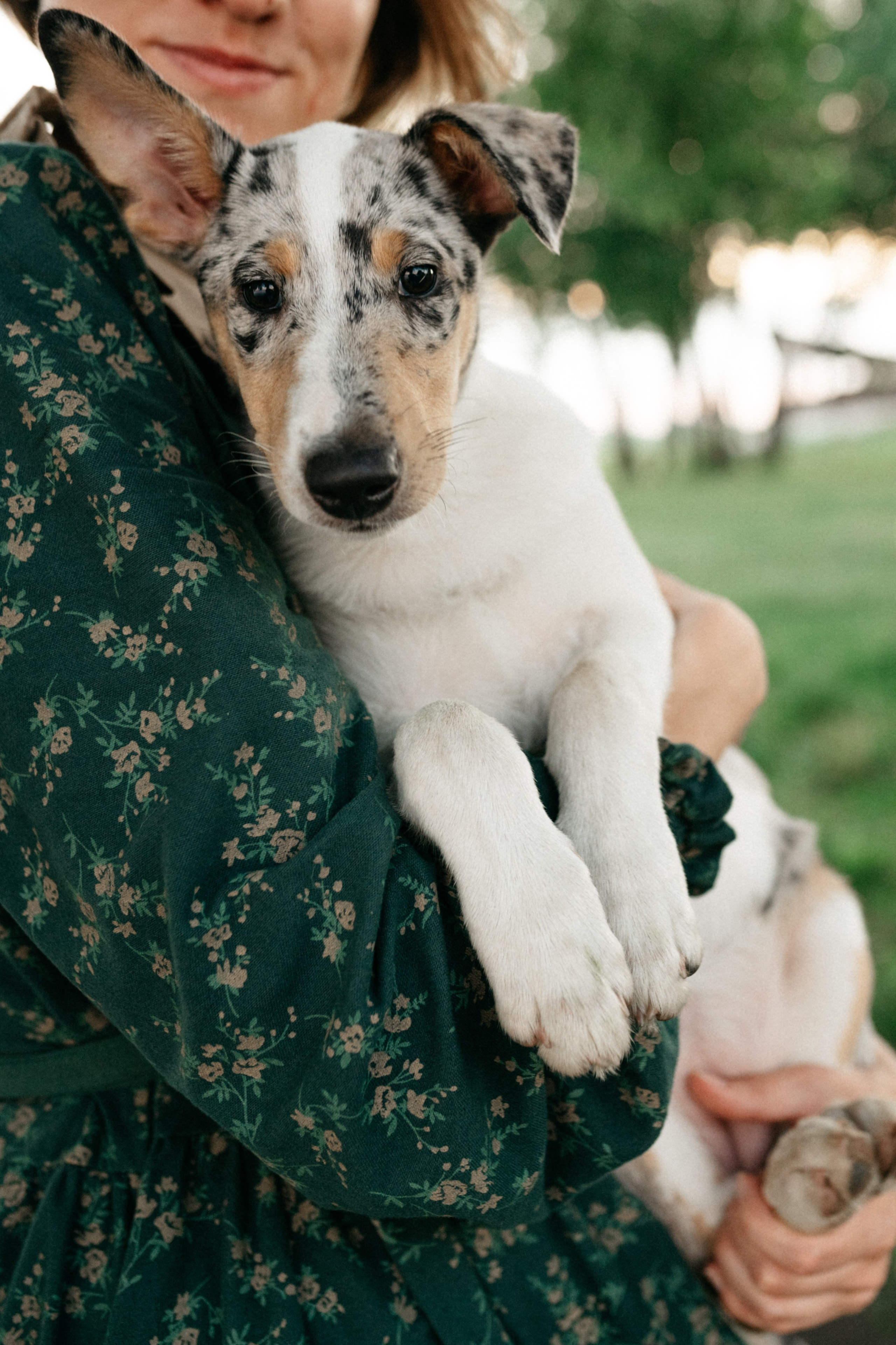 Таня и её пушистые друзья. Фотограф анималист в Москве Ольга Агушева
