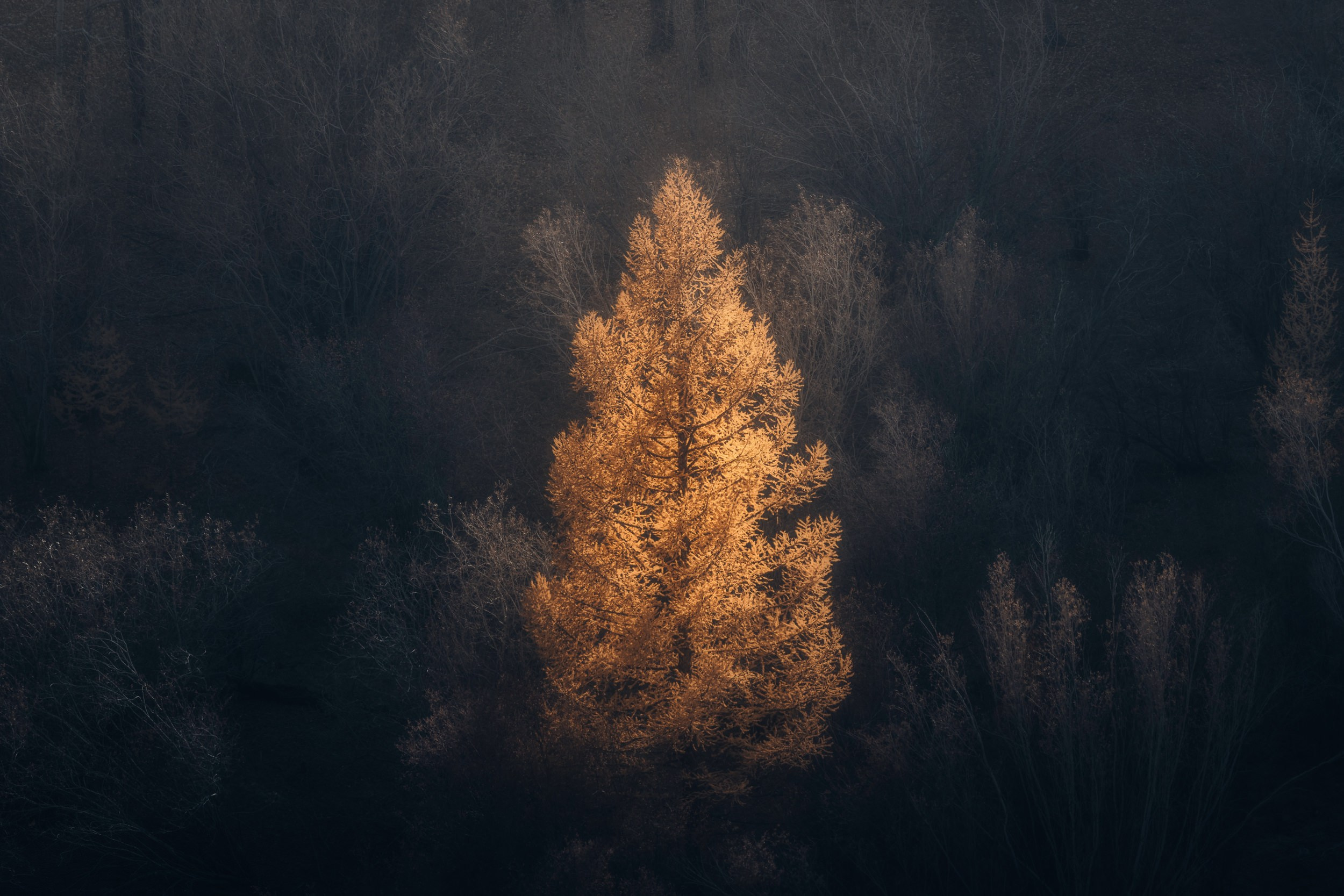 Пейзаж • Landscape. Елена Ивановой • Профессиональный фотограф