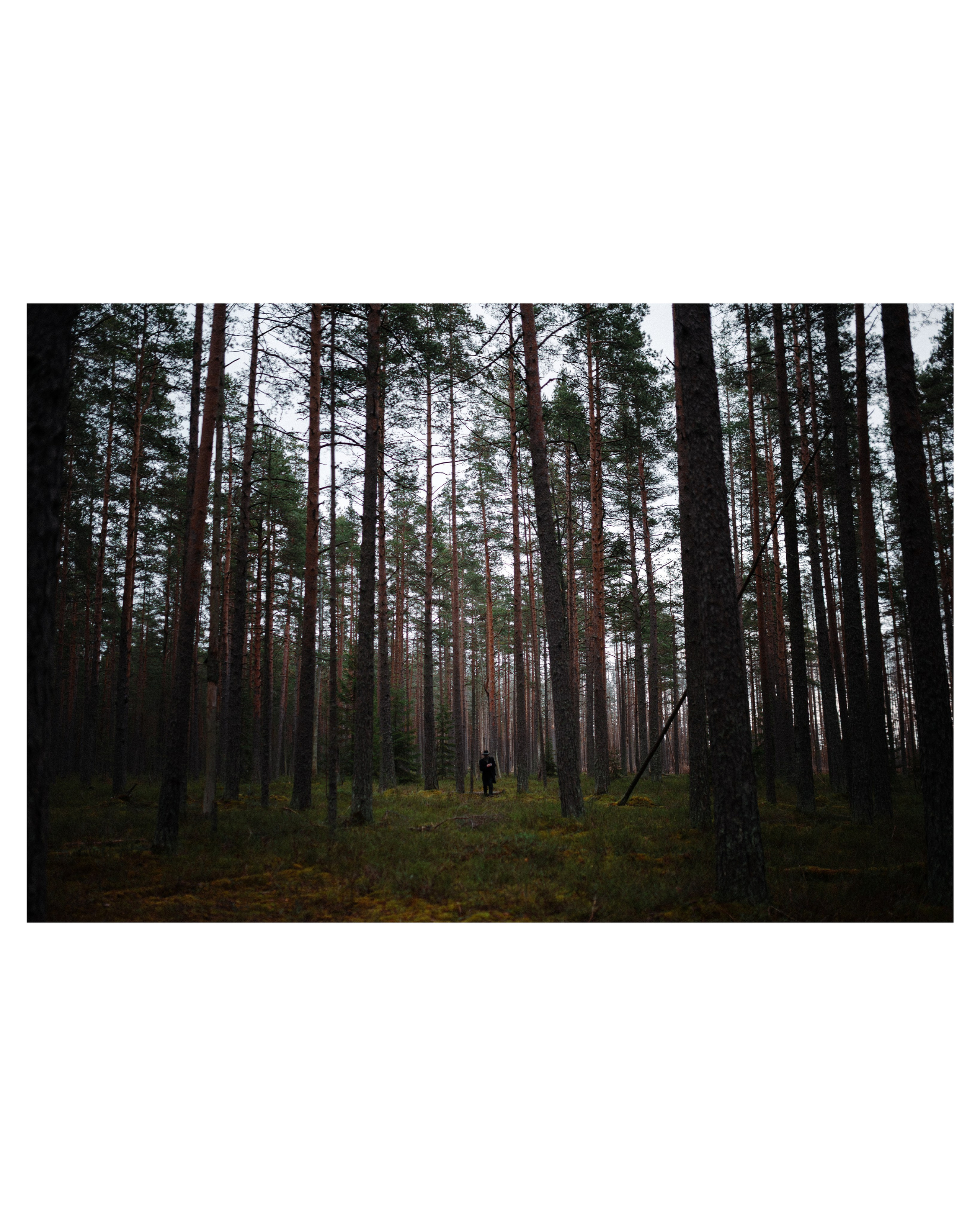 Андрей Другой. Непарадное в парадных