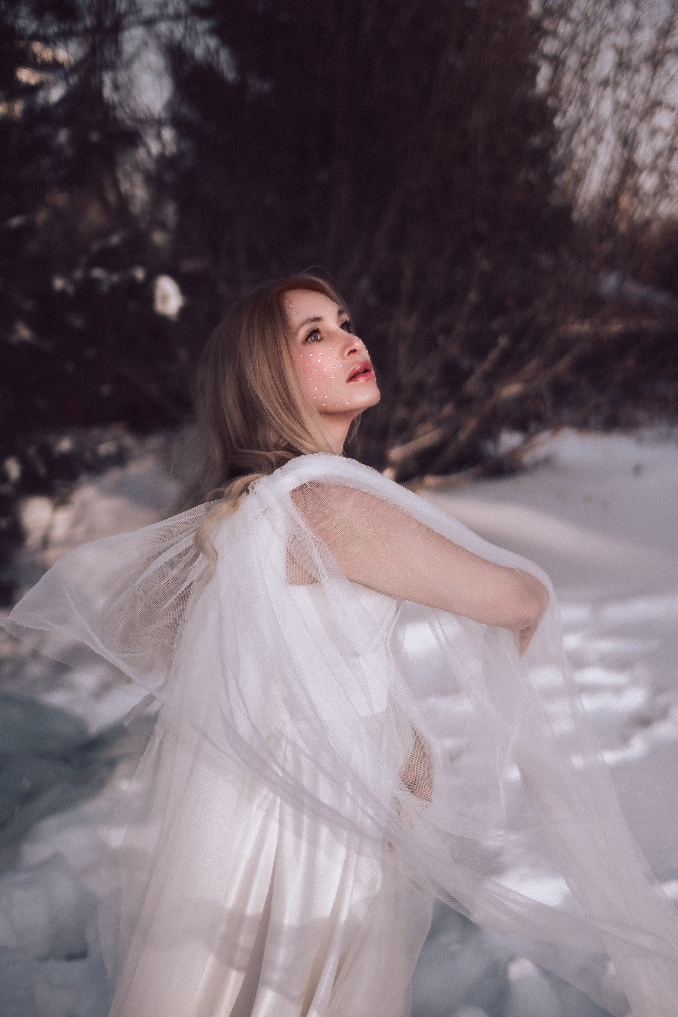 Царевна Лебедь. Светлана Аброщикова