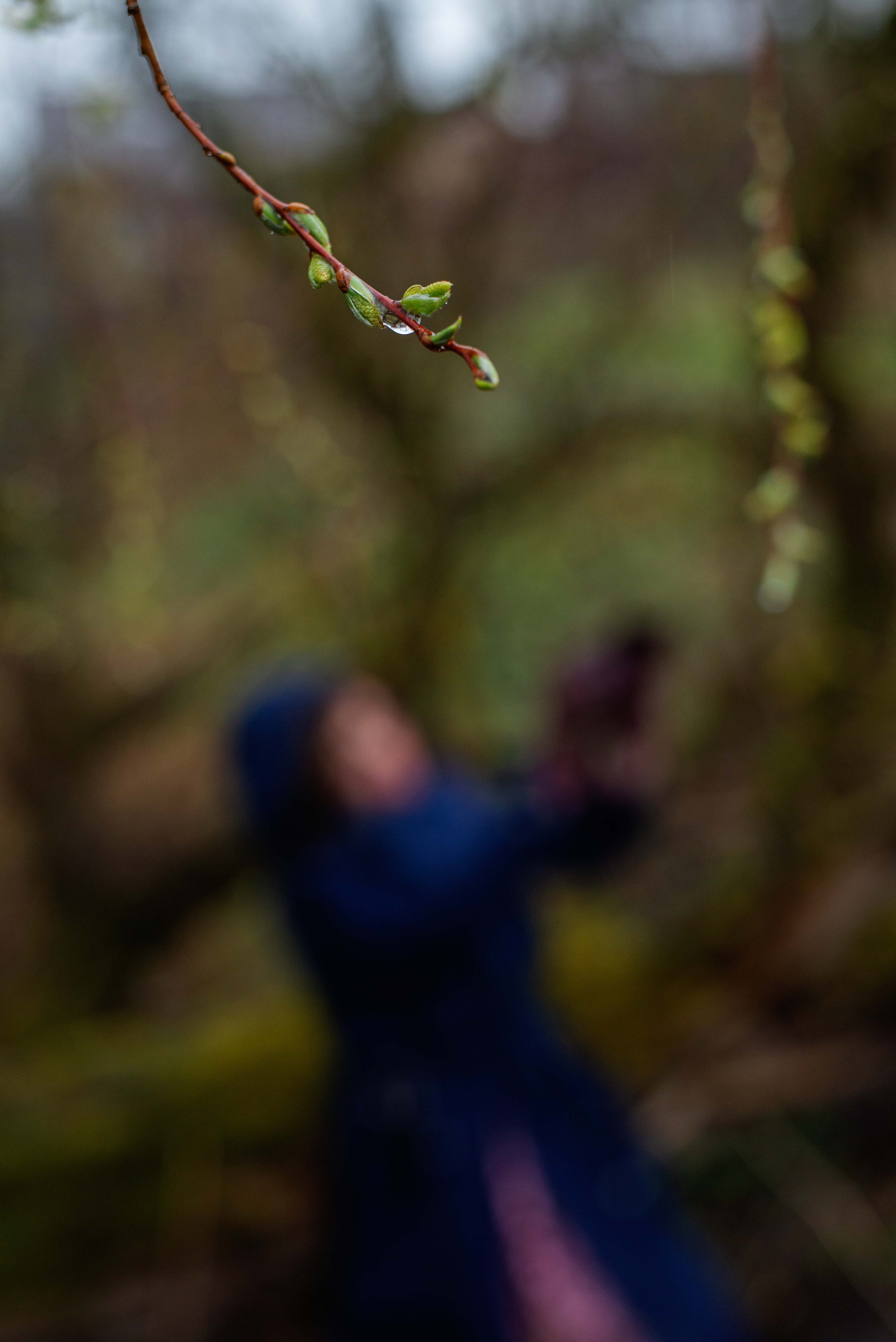 Наташа. Профессиональный фотограф в Москве и МО Мария Куравлева