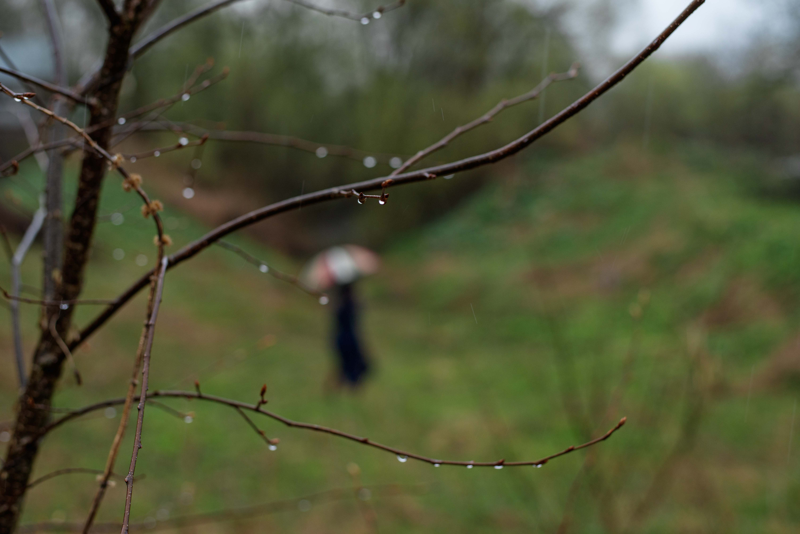 Наташа. Профессиональный фотограф в Москве и МО Мария Куравлева