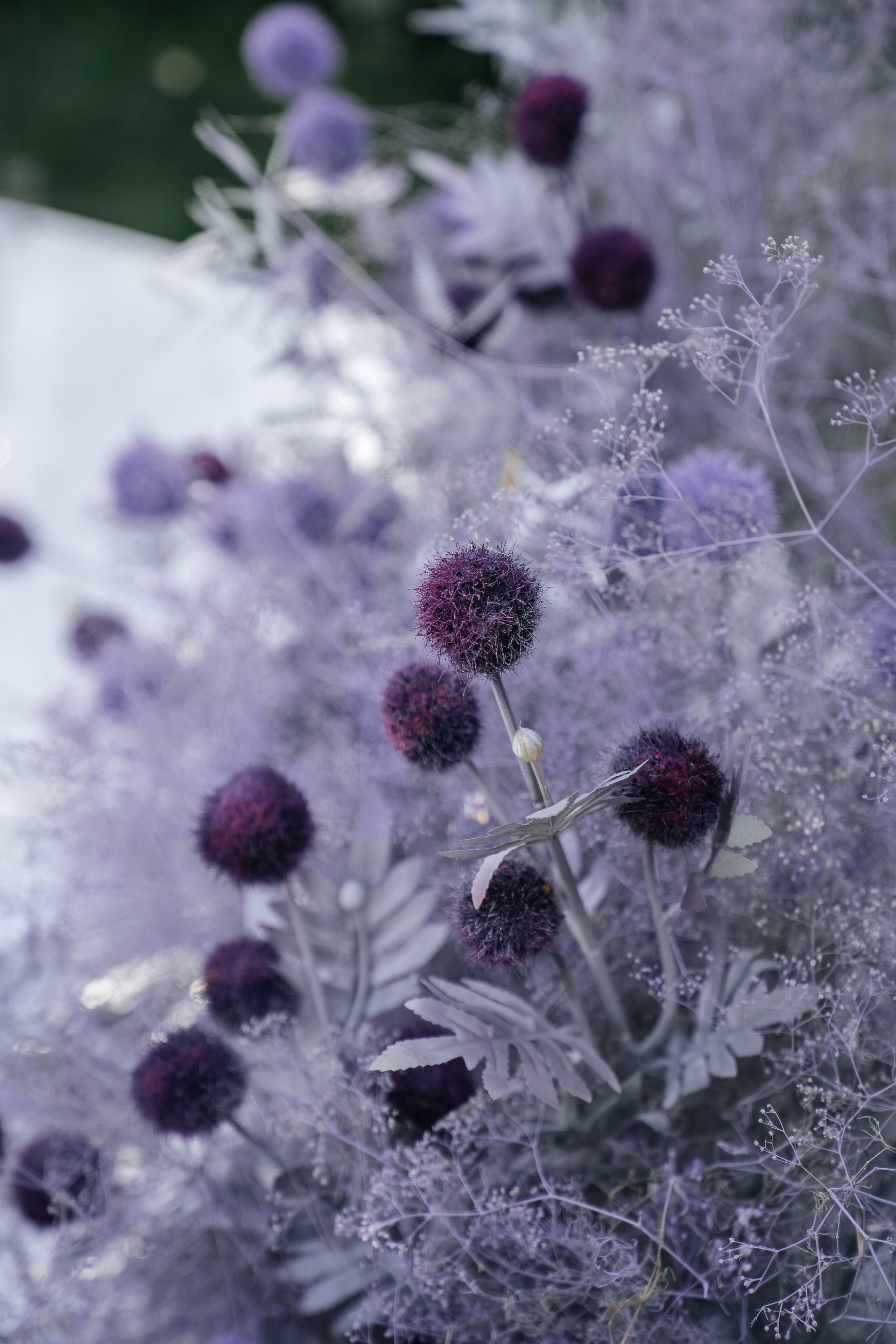 Антон и Евгения. Свадебный и семейный фотограф В Барнауле Нечаева Таня