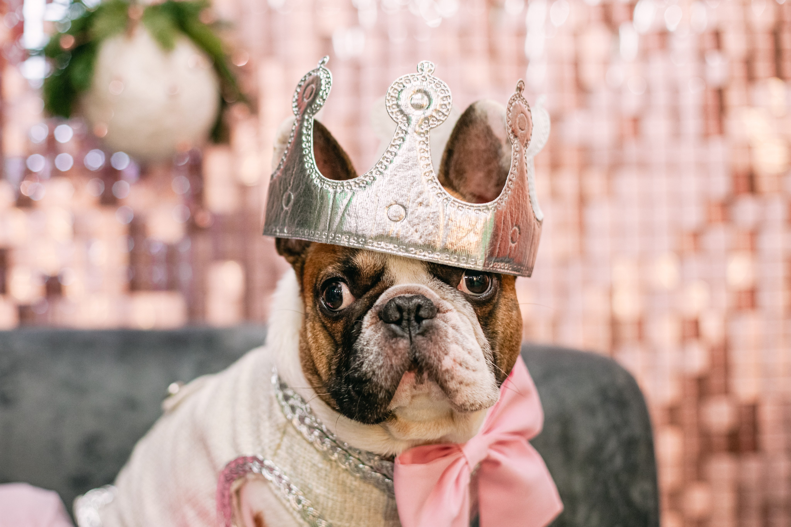 Бульёлка 2024. Фотограф-анималист Татьяна Степанова