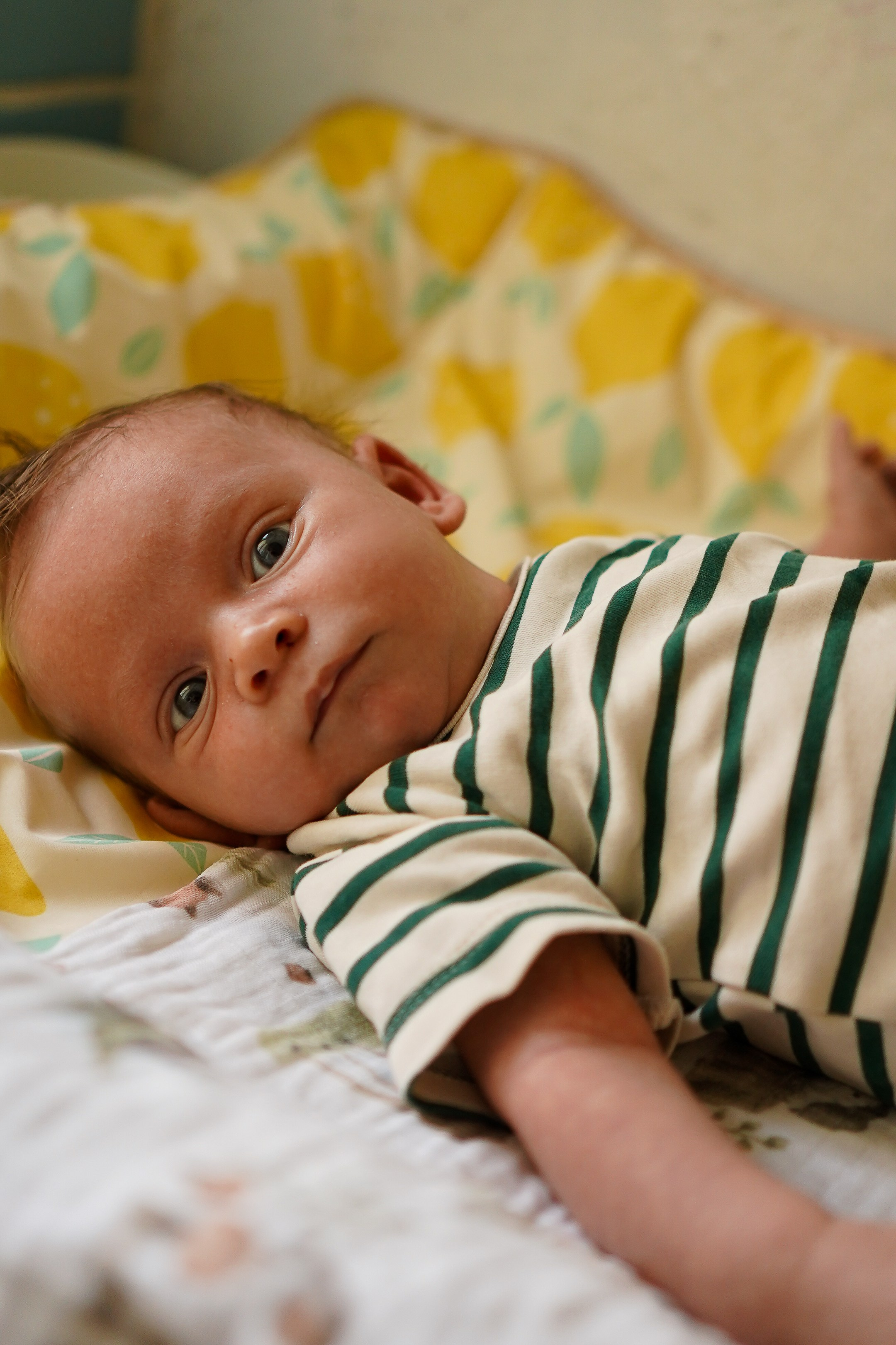 Федя, новенький на планете. Семейный фотограф в Москве Коровушкина Наталья. Съемка контента