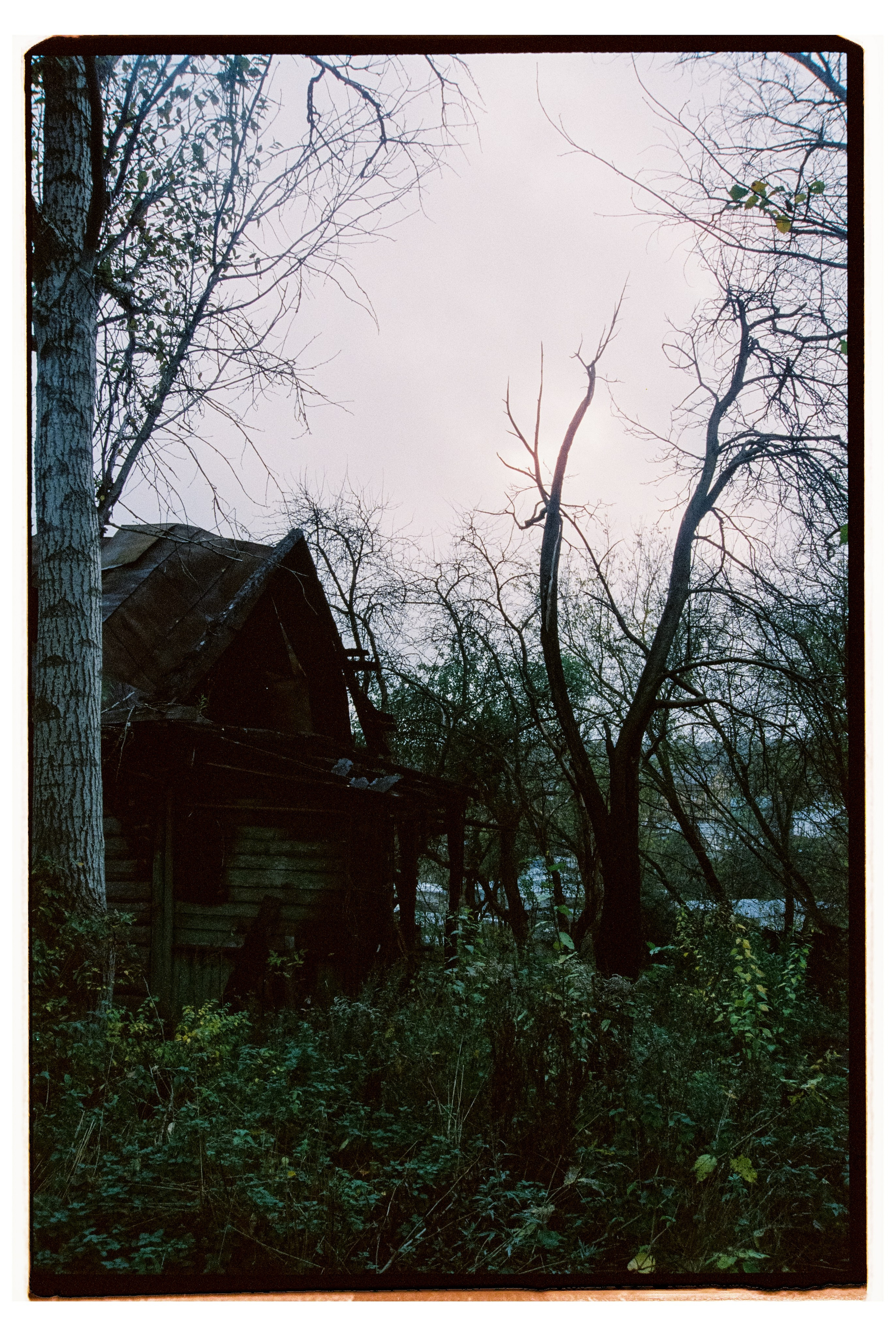 KALUGA. ANNA — PHOTOGRAPHER