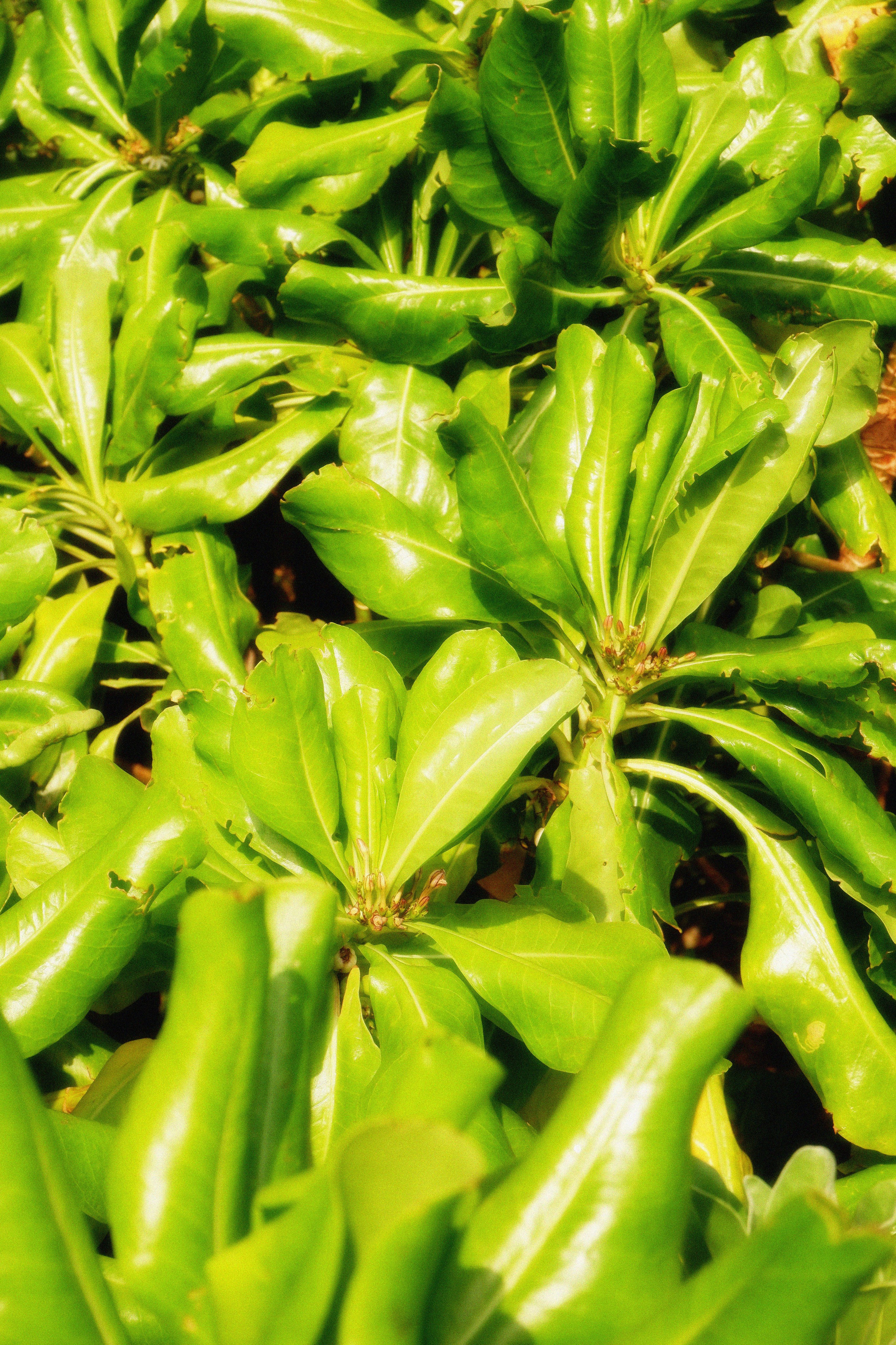 MALDIVES&BAHRAIN. ANNA — PHOTOGRAPHER