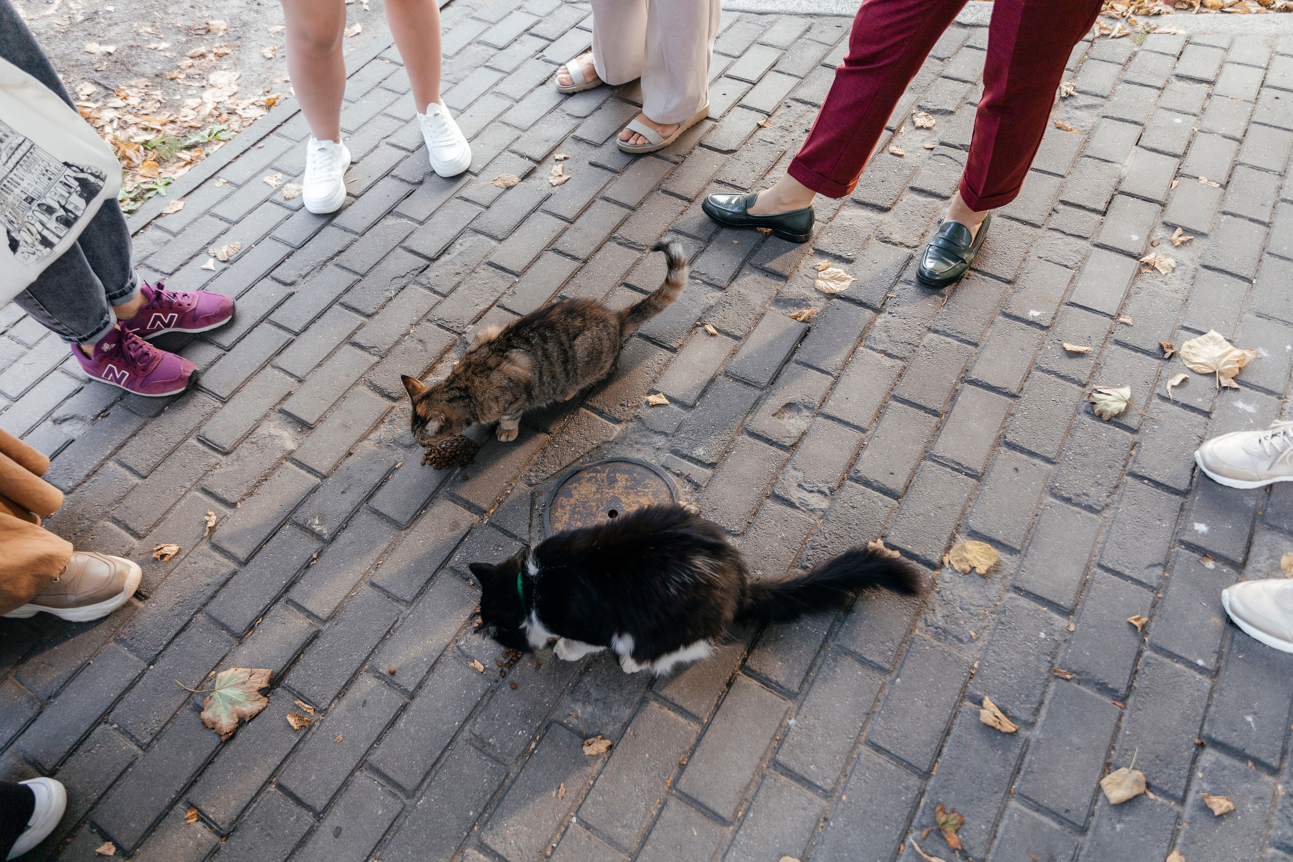 Девичник. Свадебный и портретный фотограф в Калининграде Наталия Еник