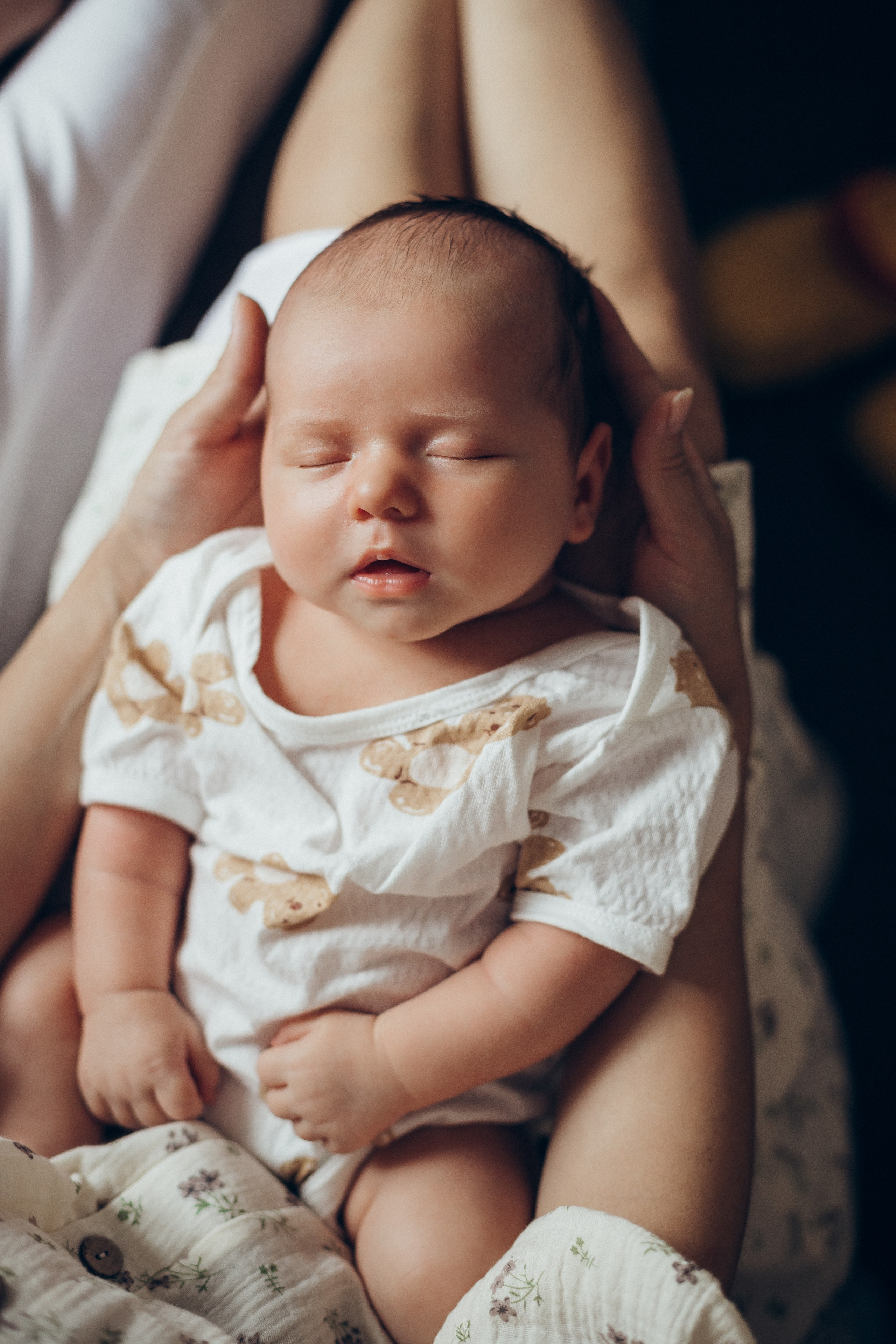 Лев. Семейный фотограф новорожденных УФА Гульнара Зиновьева