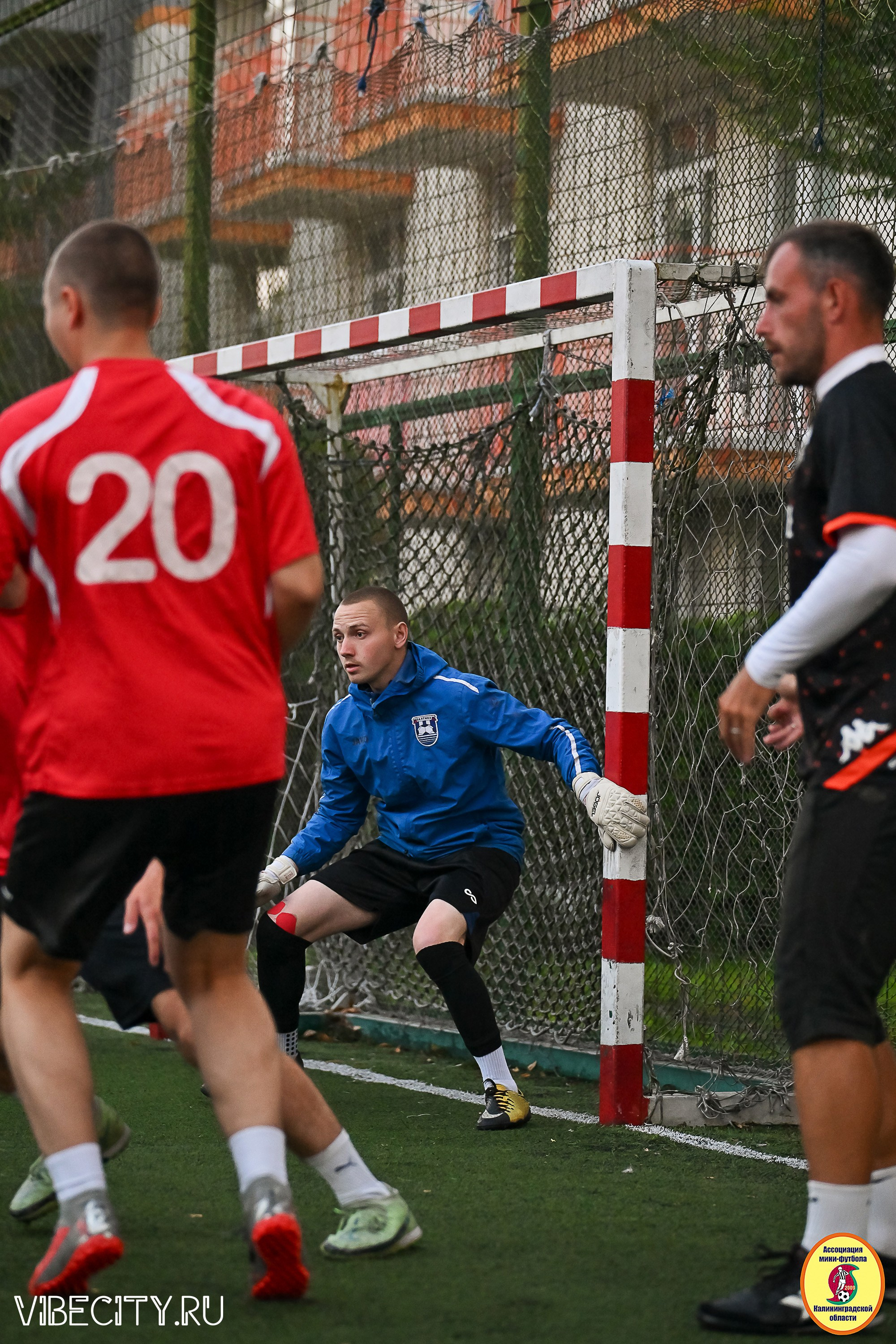 ИГРЫ ПЛЕЙ-ОФФ ПЕРВОГО ДИВИЗИОНА МИНИ-ФУТБОЛЬНОЙ ЛИГИ. VIBECITY.RU Вайб Сити Ру Фоторепортажи Фотоотчеты Калининград