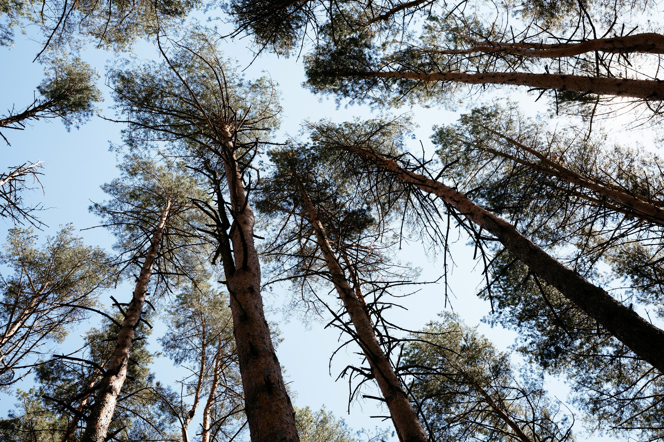 Ольга и Иван. Фотограф Владимир Лукашев