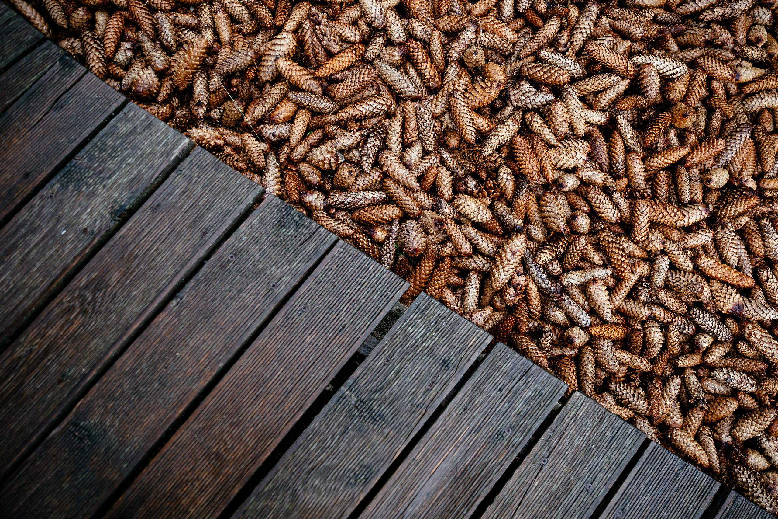Наталья и Влад. Фотограф Владимир Лукашев