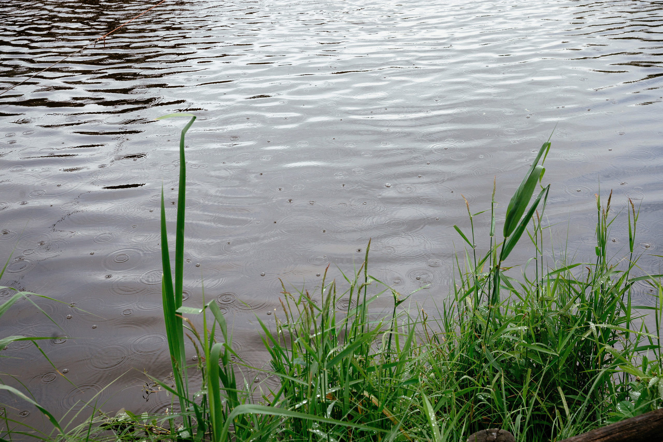 Наталья и Влад. Фотограф Владимир Лукашев