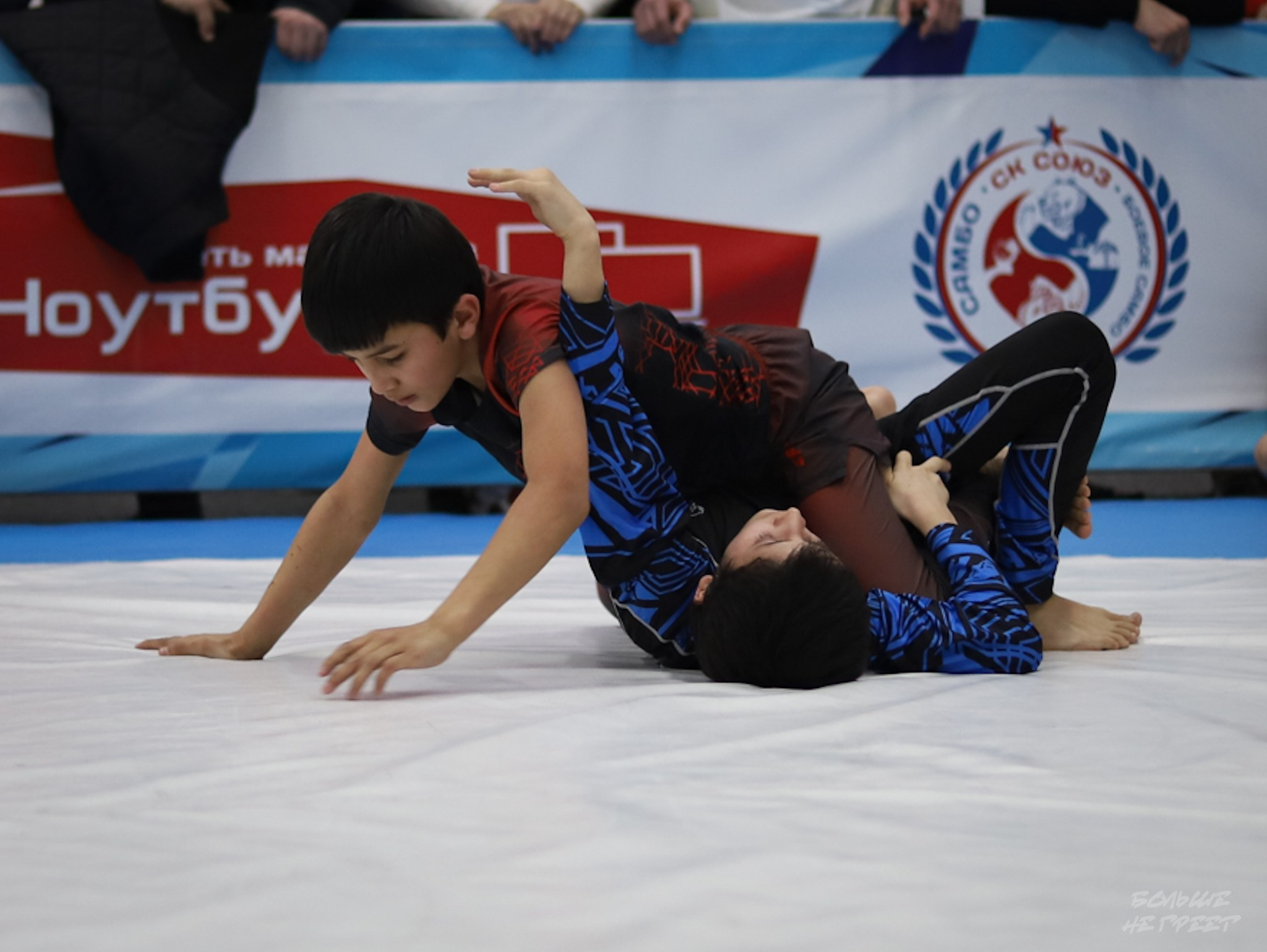 GORILLA PRIDE CUP. Больше не греет