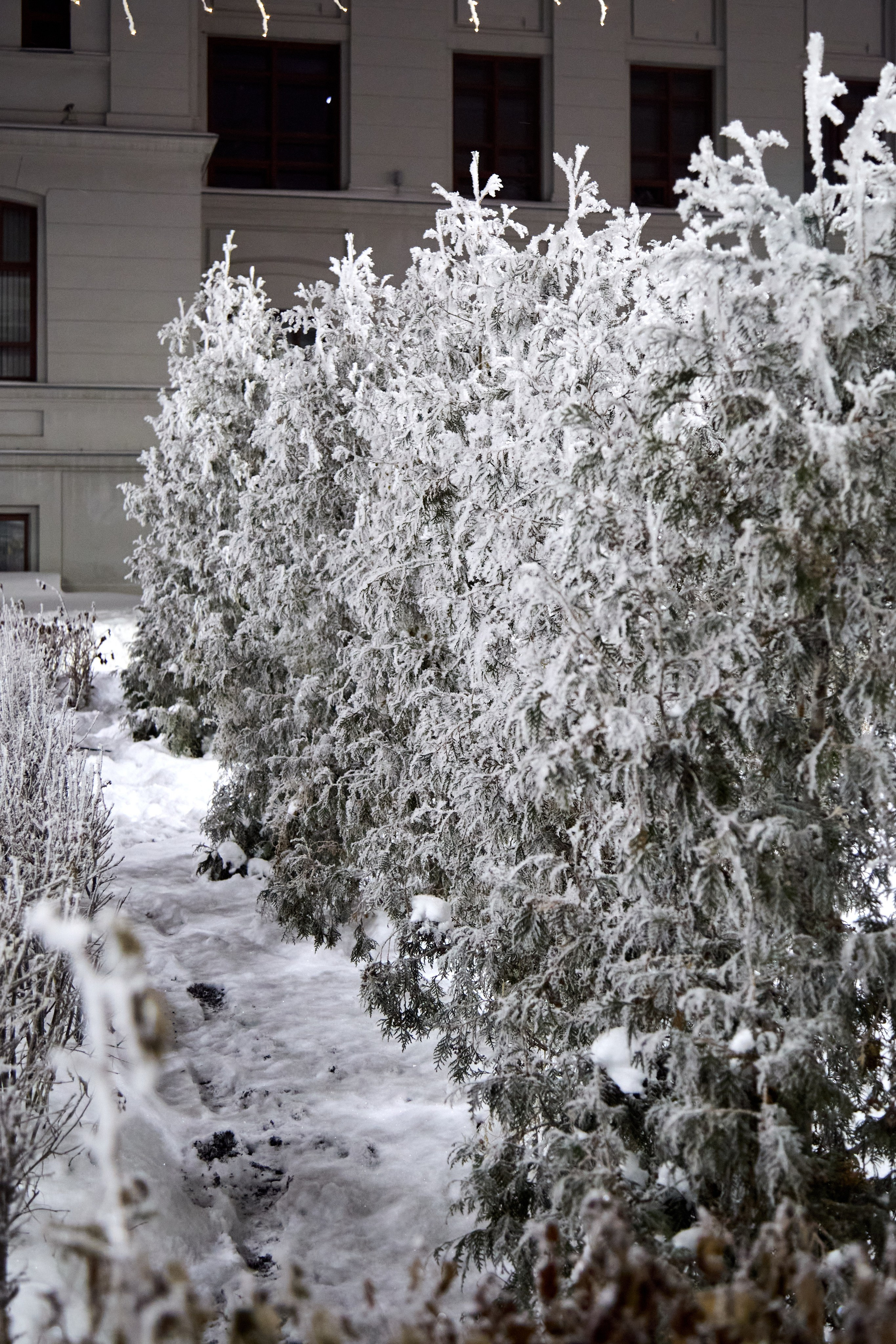 Новогодний Омск 2025. Фотограф Омск | Александр Вандеров