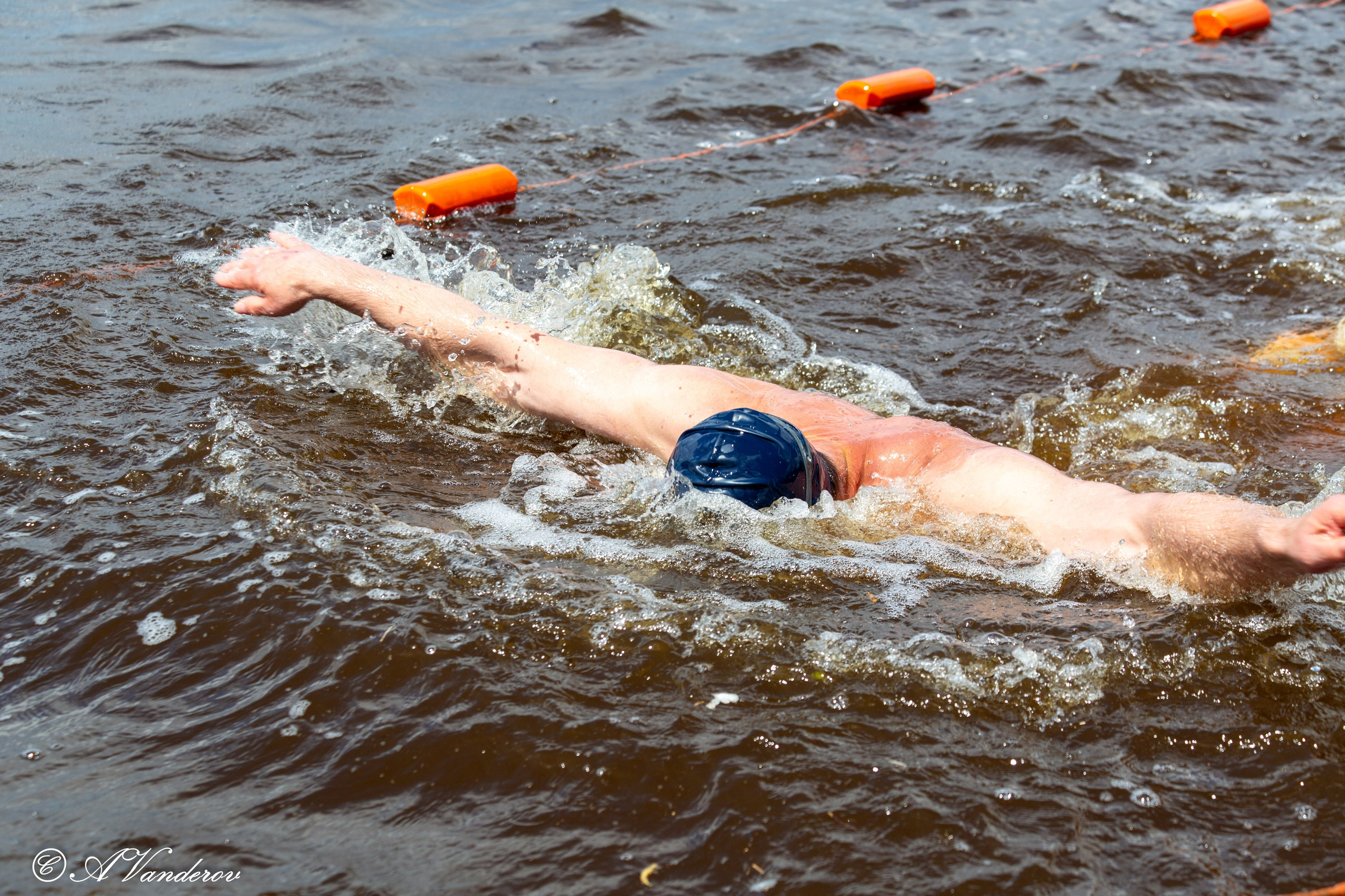 Заплыв 02.06.2024. Фотограф Омск | Александр Вандеров