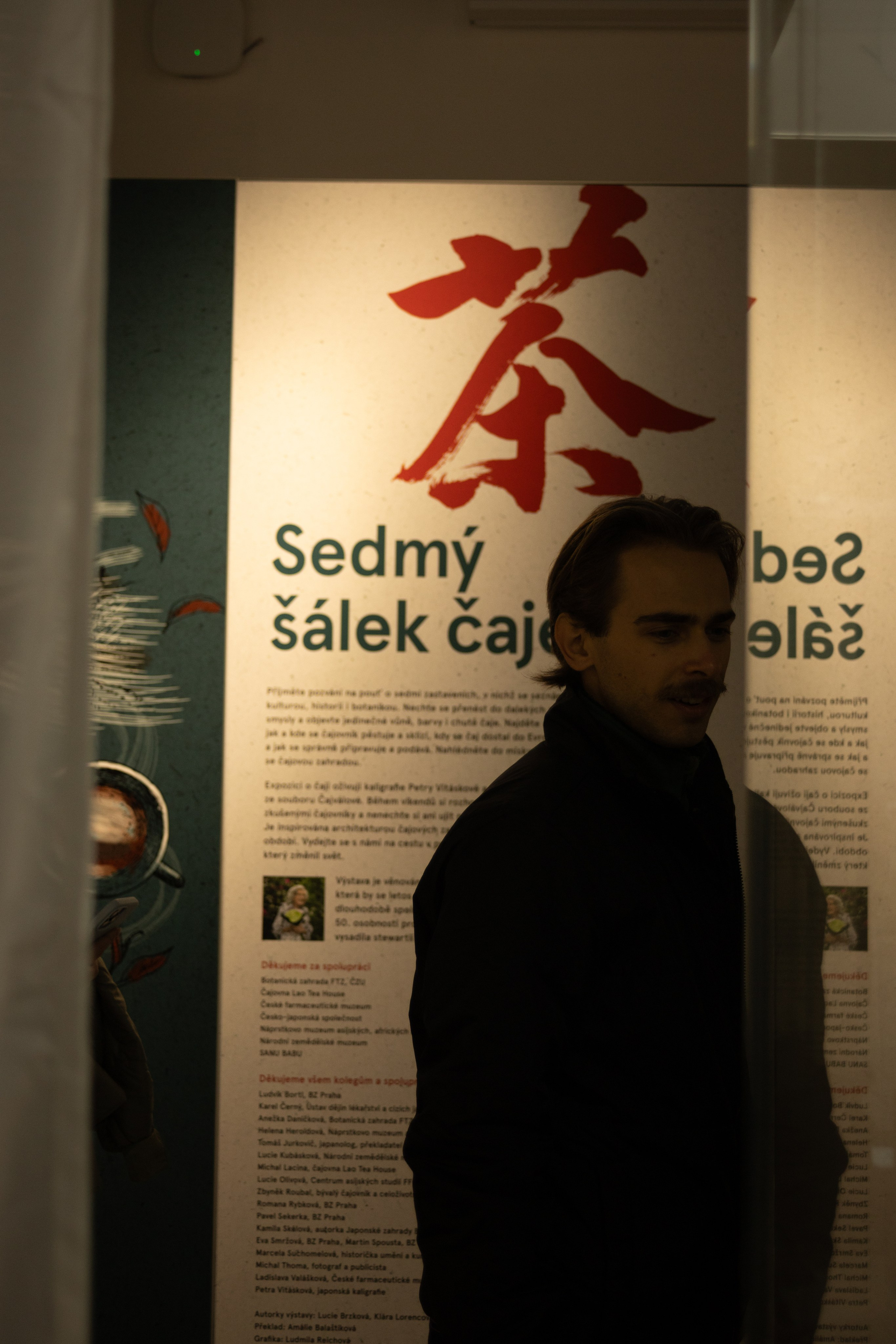 Tea exhibition, Prague. Magic photos