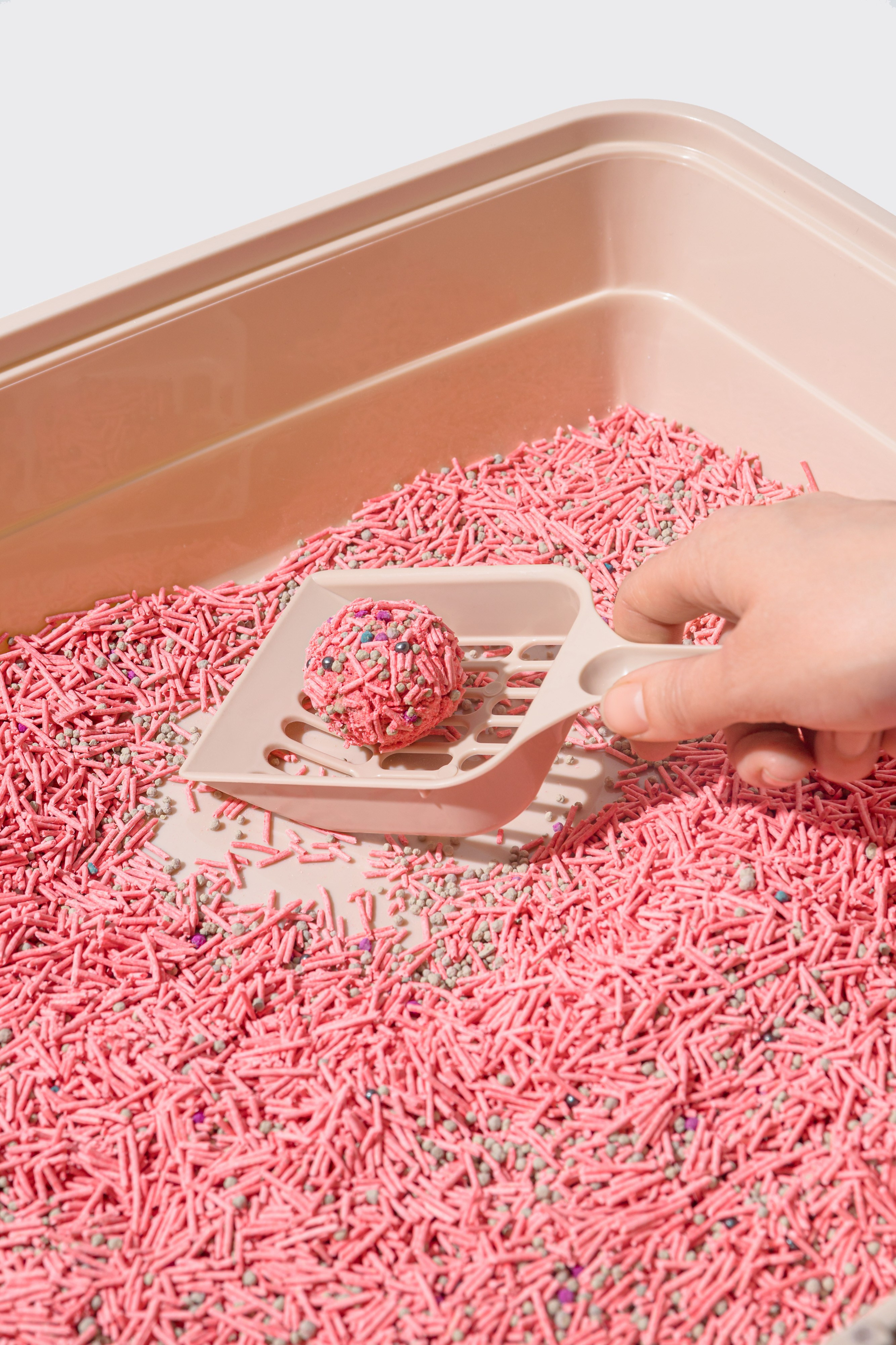 Наполнитель. Фотограф в Москве Татьяна Драгунова