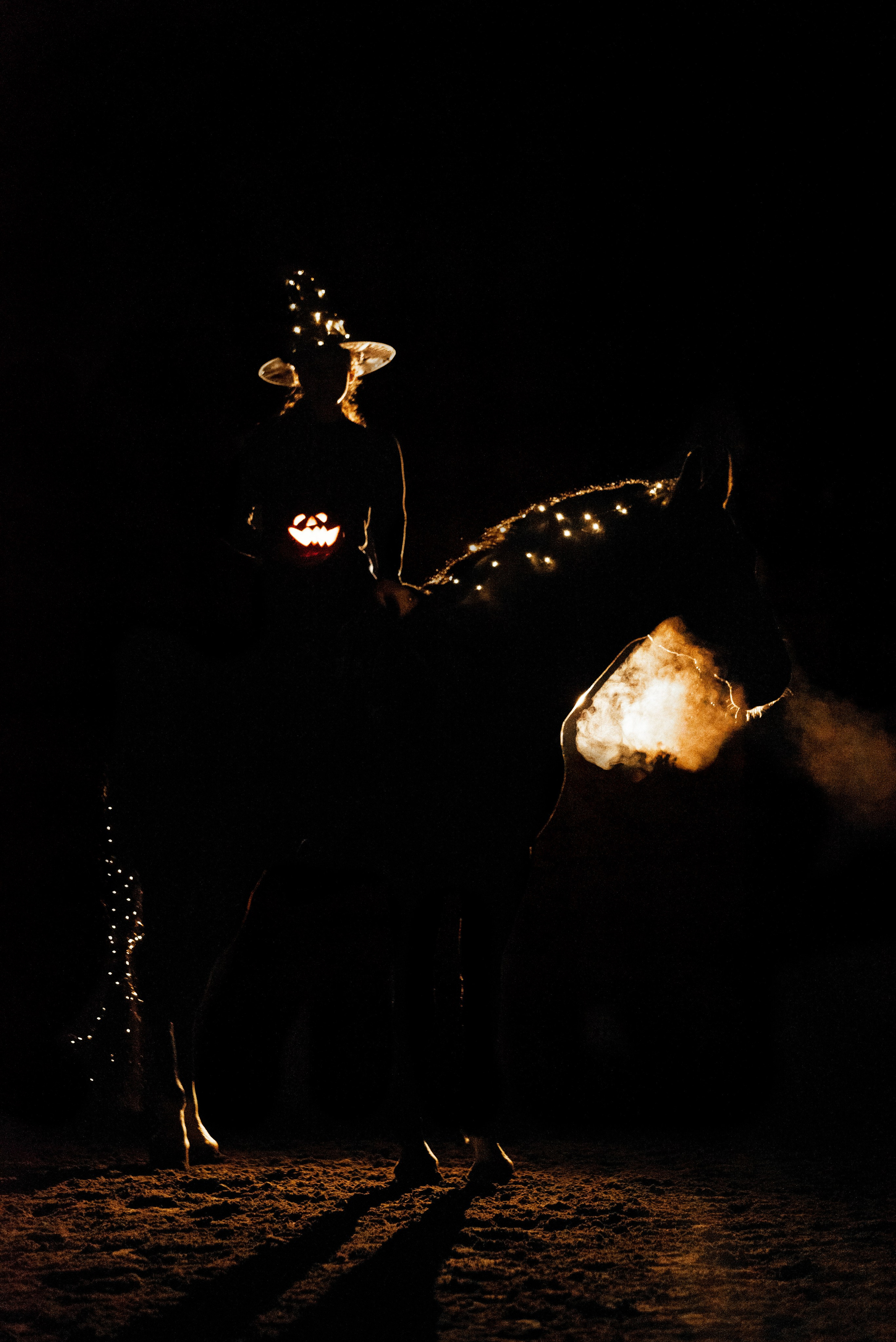 HORSIO Halloween. Конный фотограф Куракина Дарья • Фотосессии с лошадьми