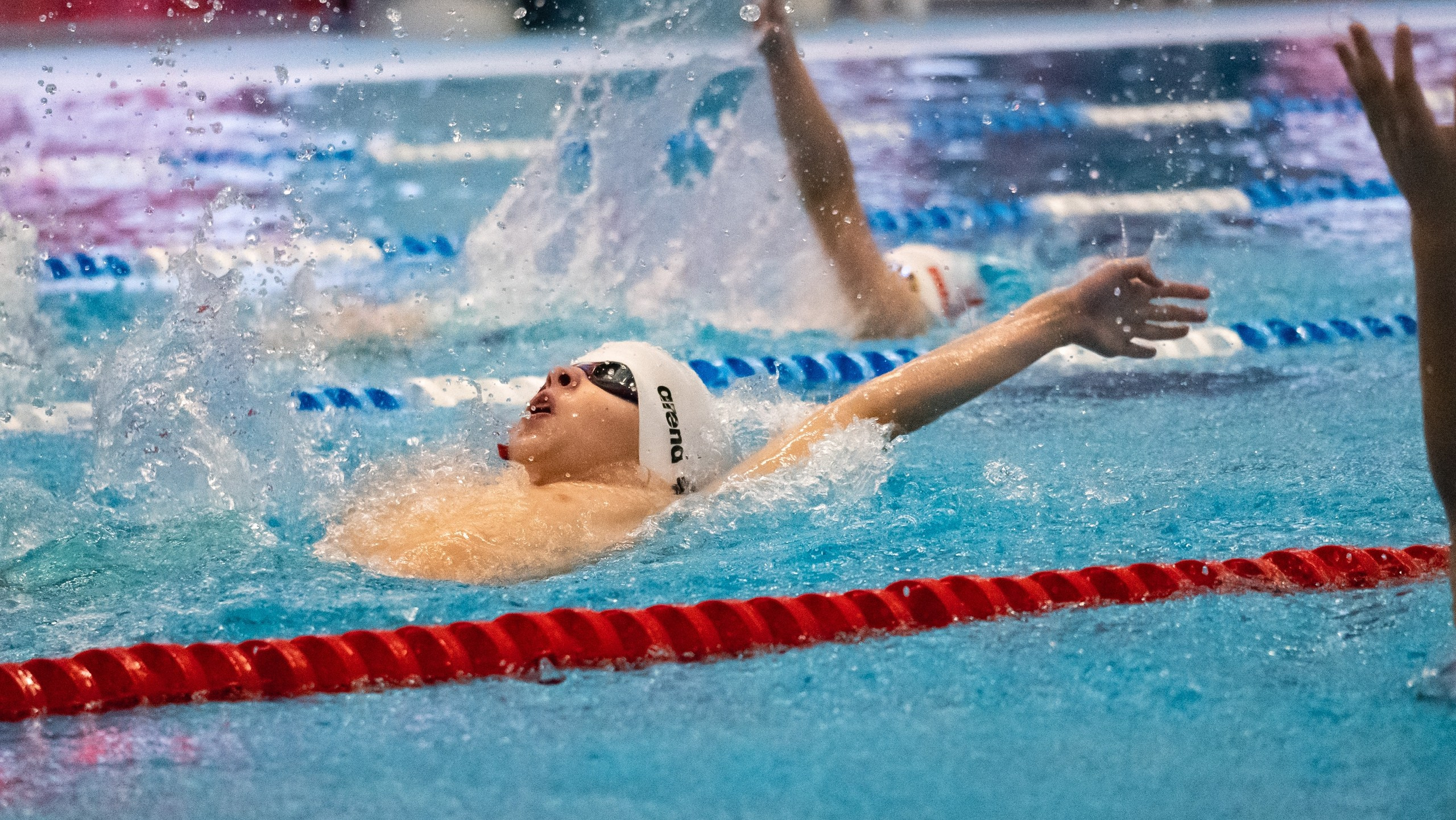 Соревнования по плаванию «Осенний спринт» 2025, МССУОР № 1. Фотограф и видеооператор Екатерина Гнатюк