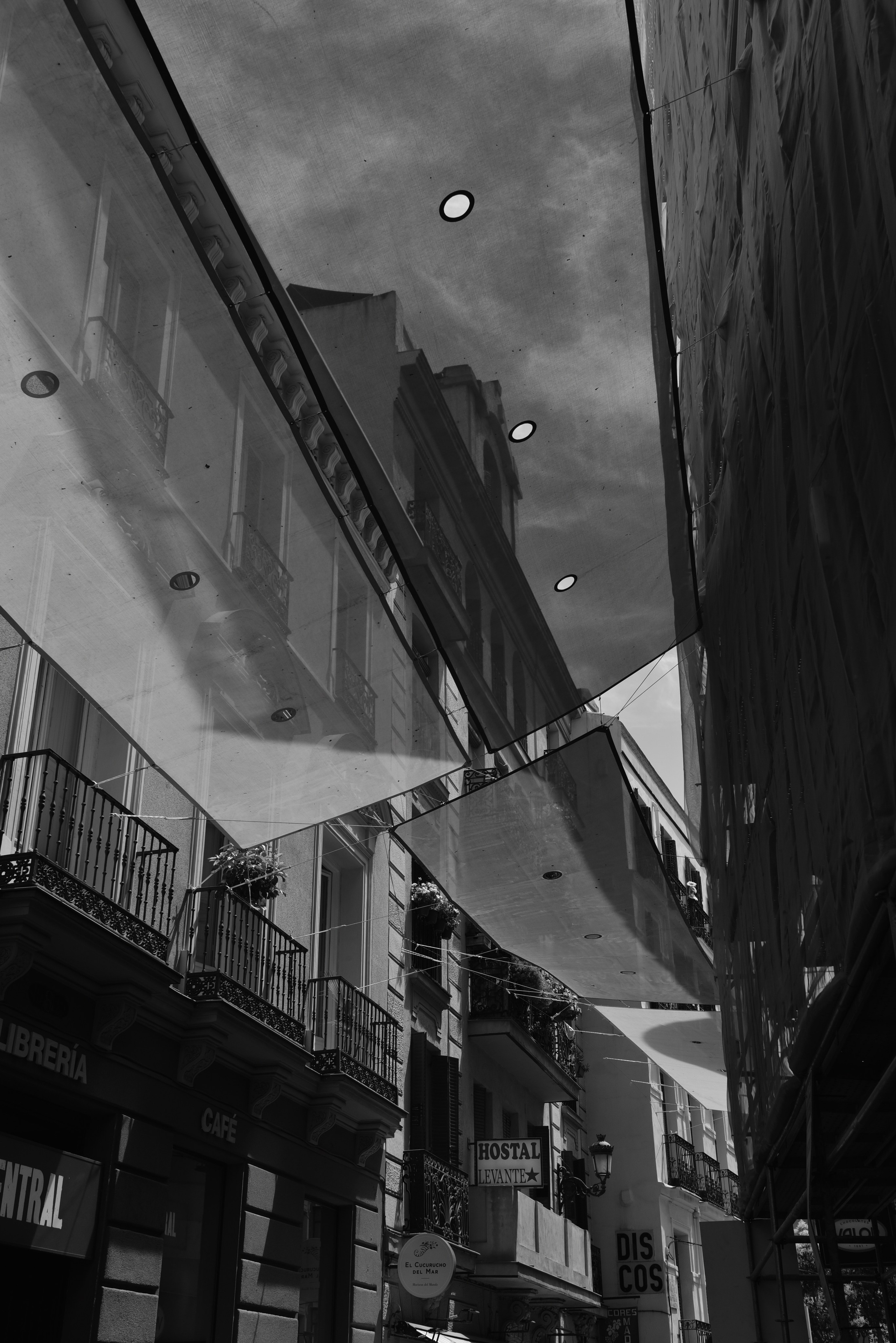 Madrid. Фотограф Милена Яновска