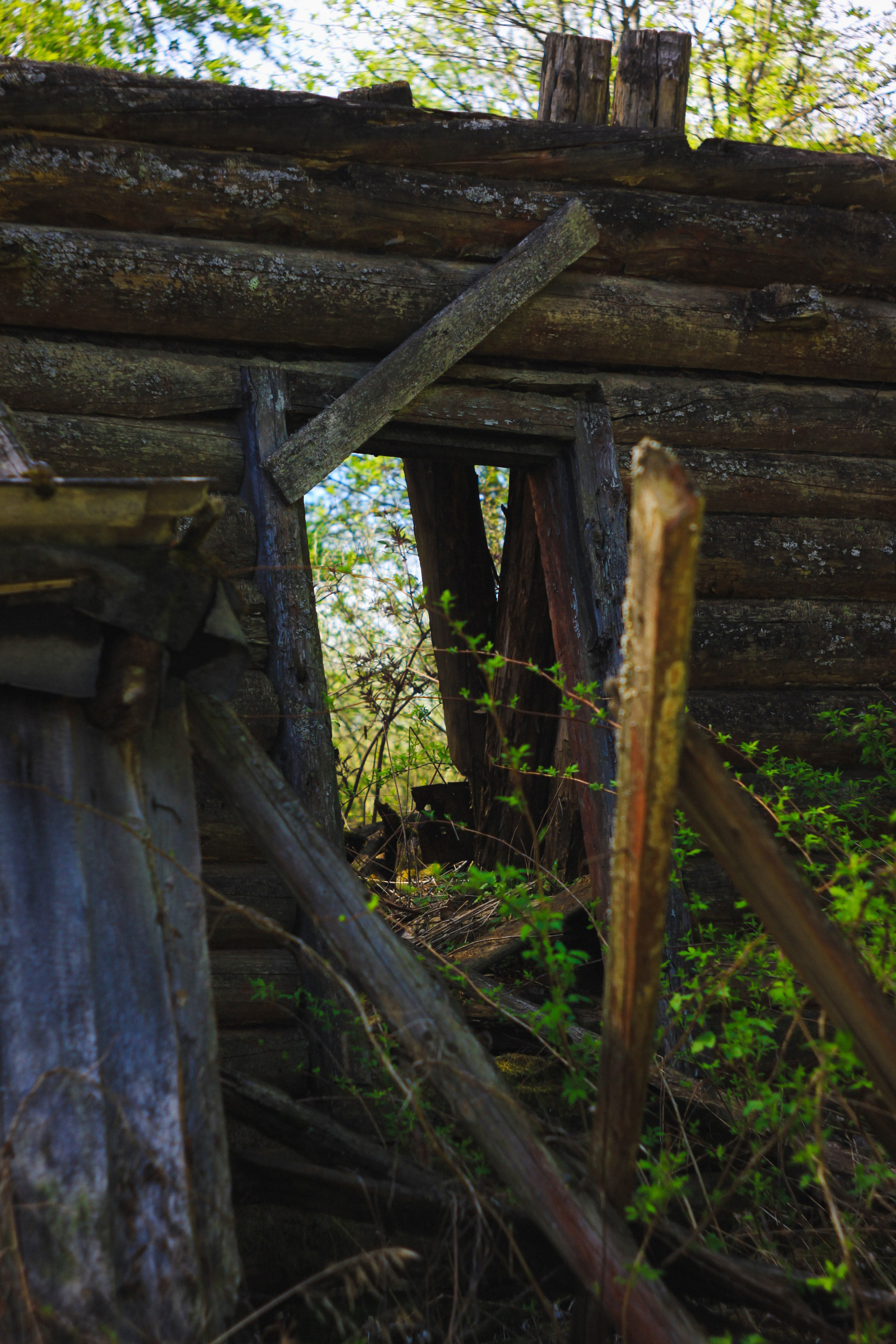 Khutor. Den Mirov — Photographer, Musician