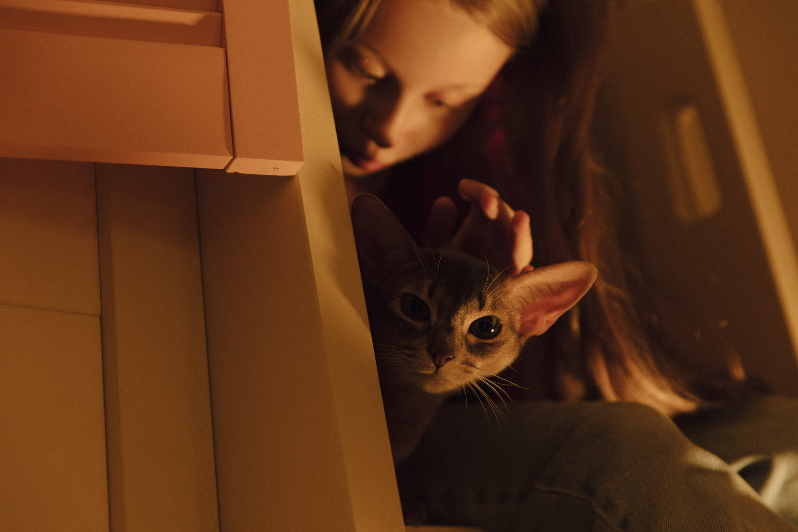 Домашний вайб. Свадебный и семейный фотограф в Красноярске Абраменко Настя