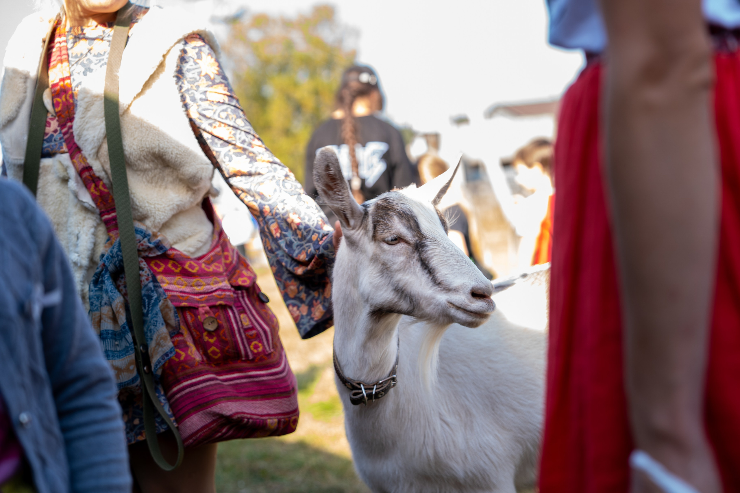 Ярмарка. Фотограф Наталья Сорока Ижевск