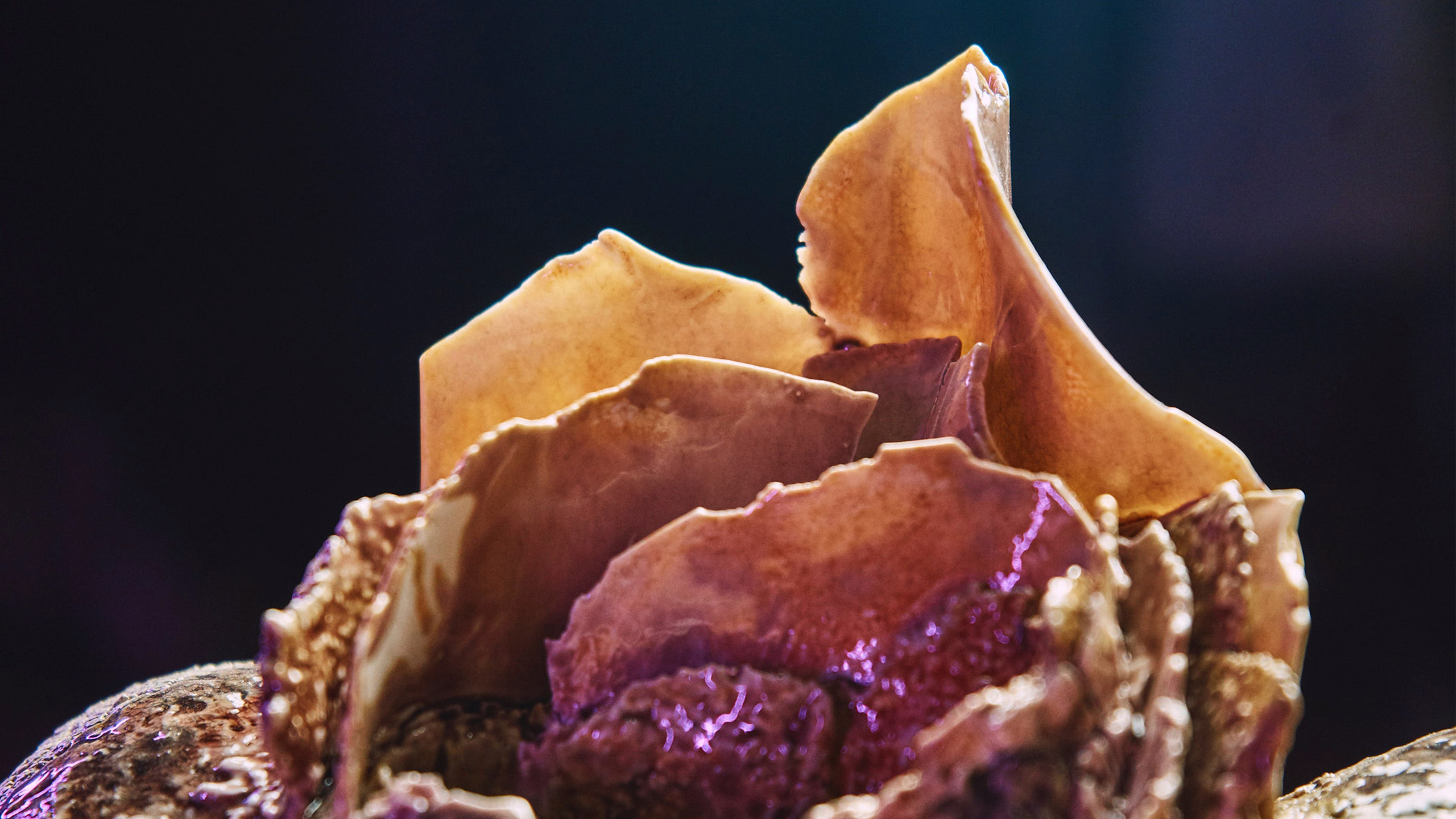 Наталья Степанюк. Главная