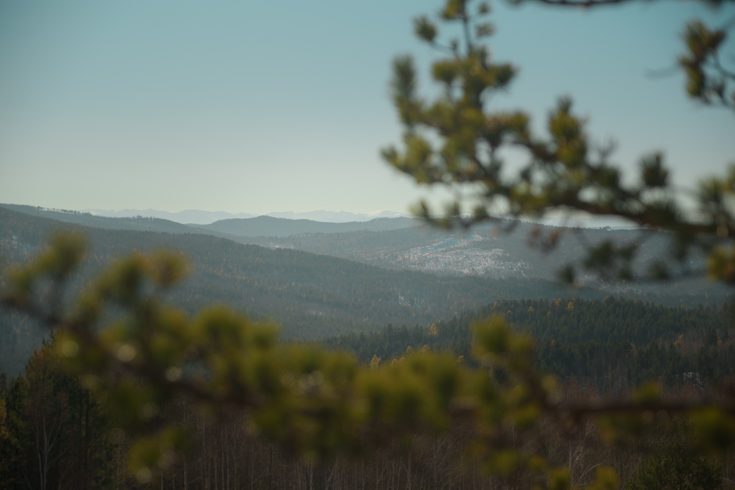 Выезд Витязей на Старую крепость. Женский и детский фотограф. Классбуки