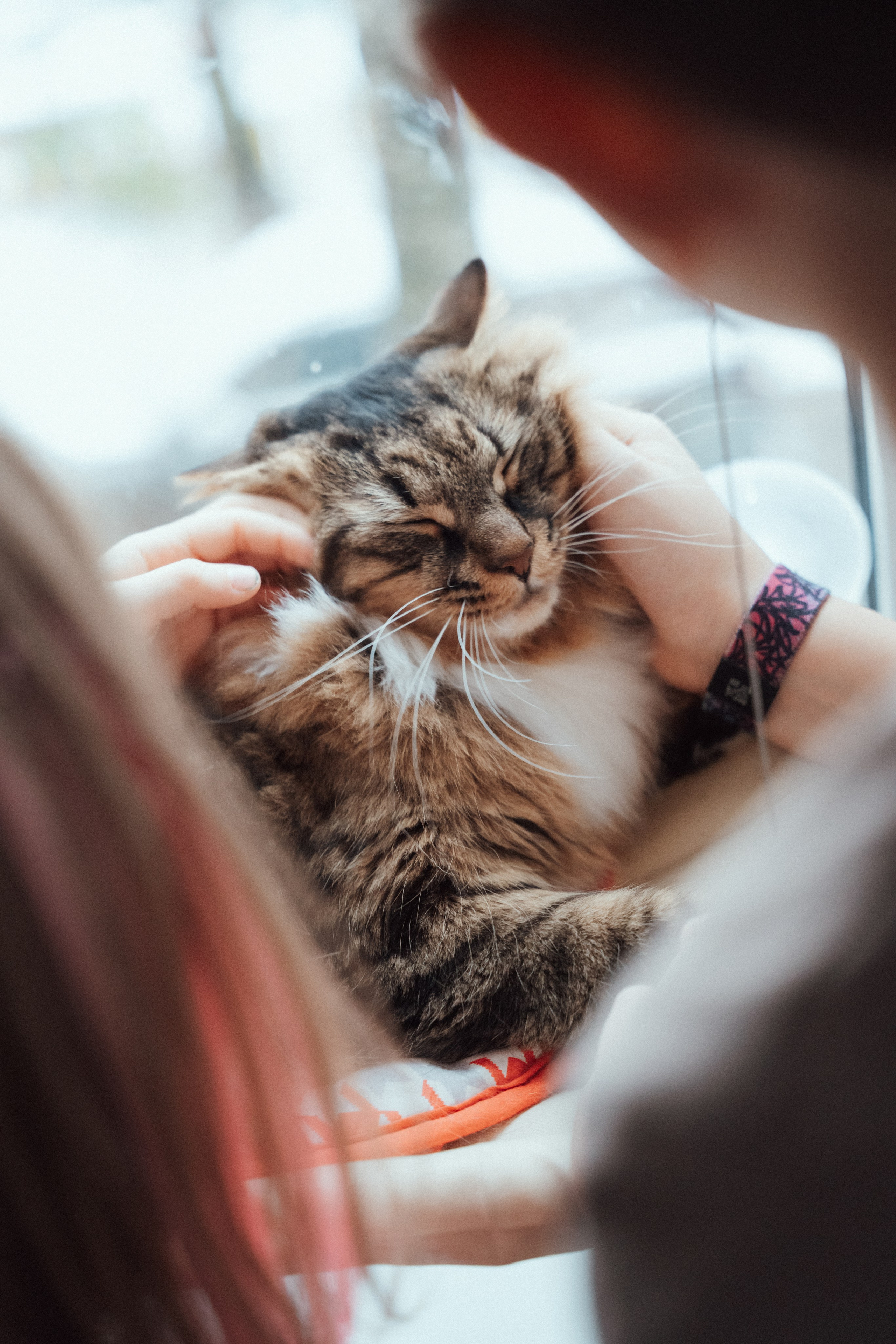 Дарья и Константин. Https://andreevann.ru