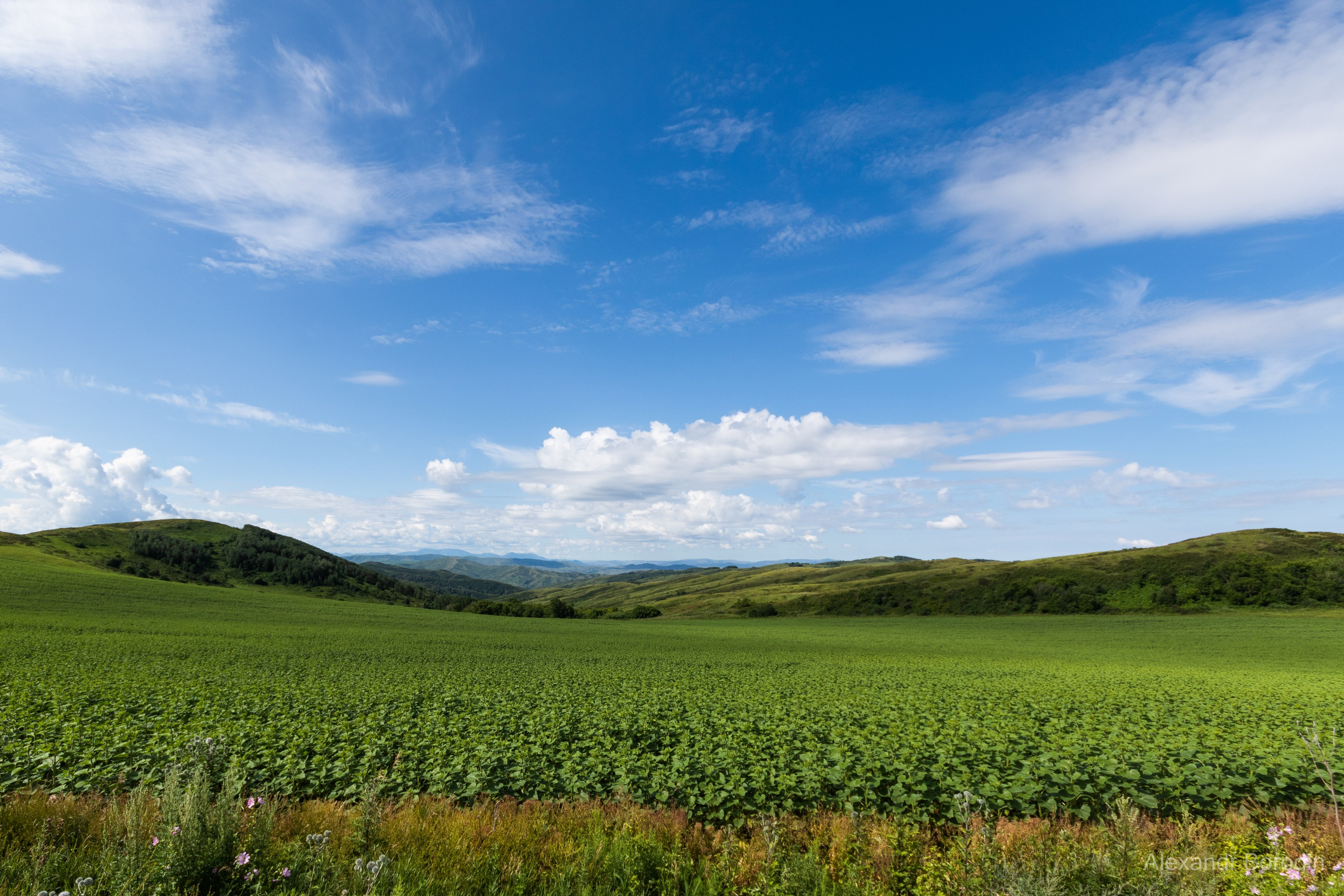 Пейзажи. Профессиональный фотограф Александр Бородин