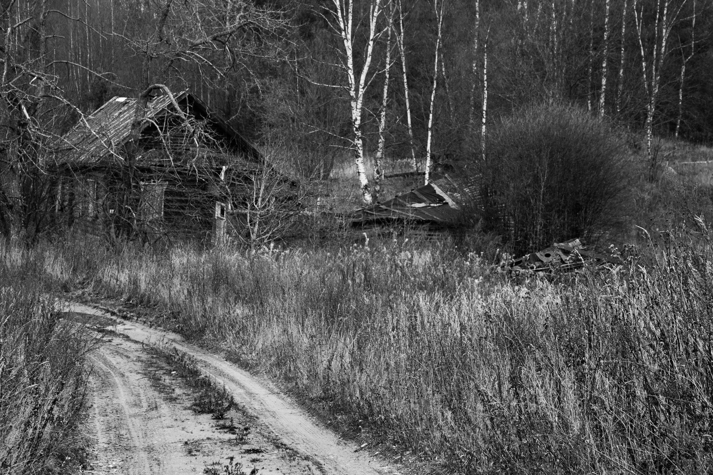 Домишко в Токарихе, Тверская область. Фото: Корчагина Татьяна