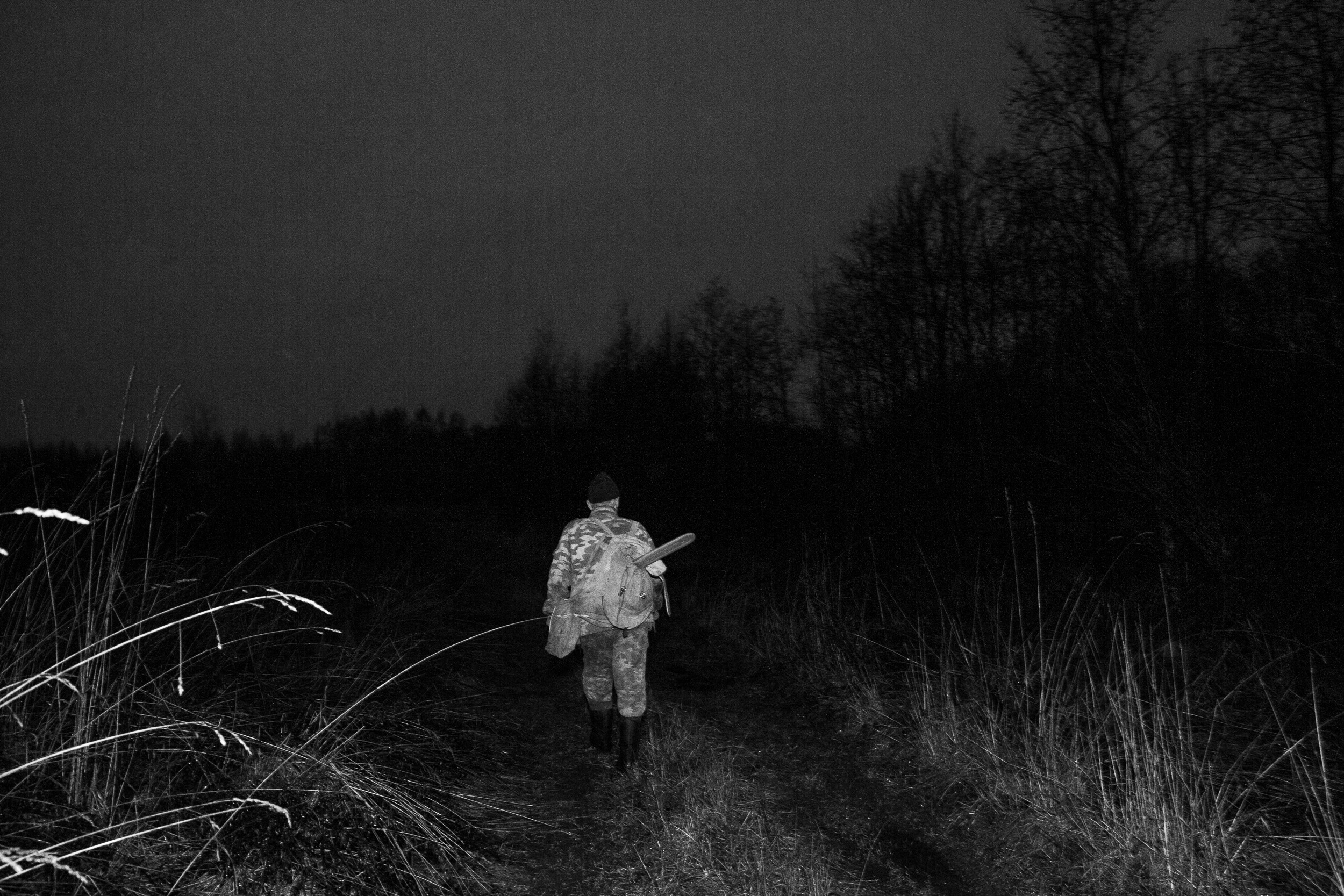 Под вечер,  в холодную погоду – можно в лес за присмотренным ранее материалом для работы сходить (не всякое дерево на гусли годится)... Фото: Корчагина Татьяна