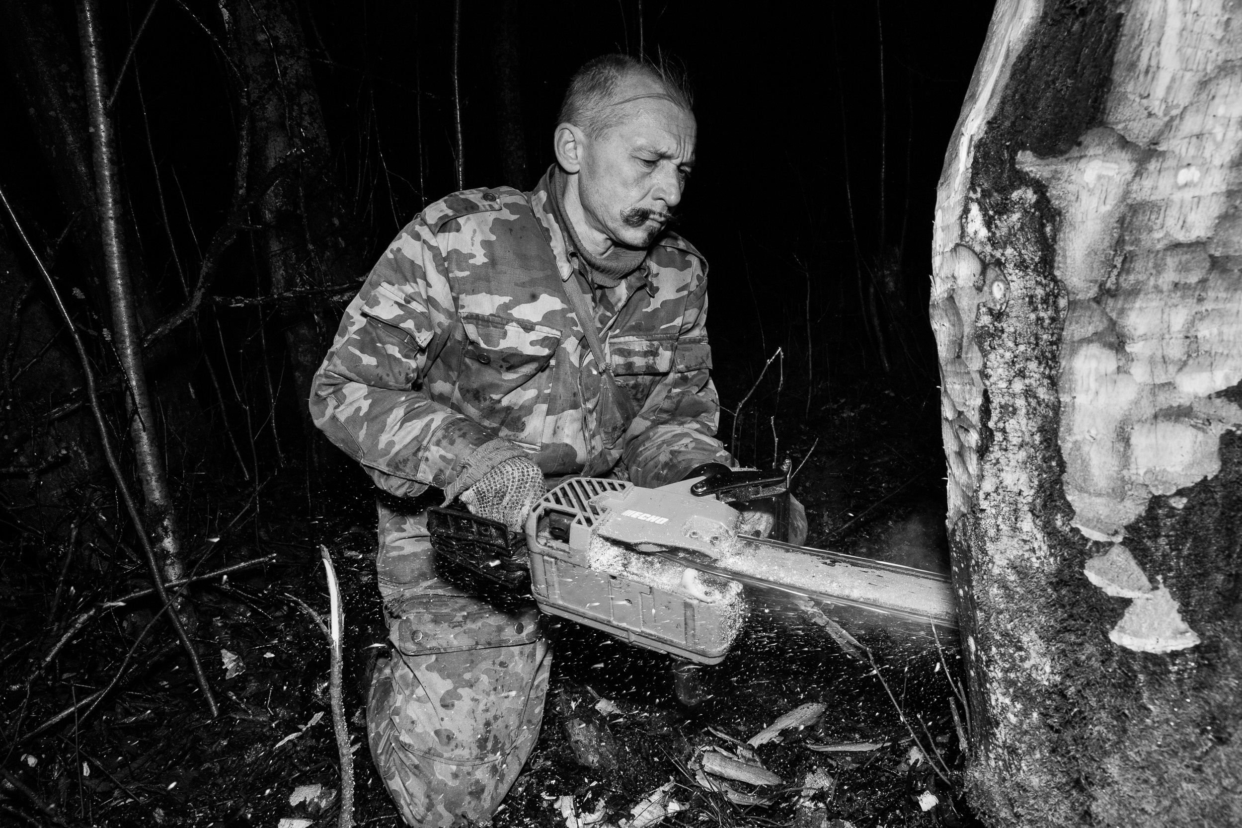 Какое дерево подойдет для изготовления музыкальных инструментов . Фото: Корчагина Татьяна