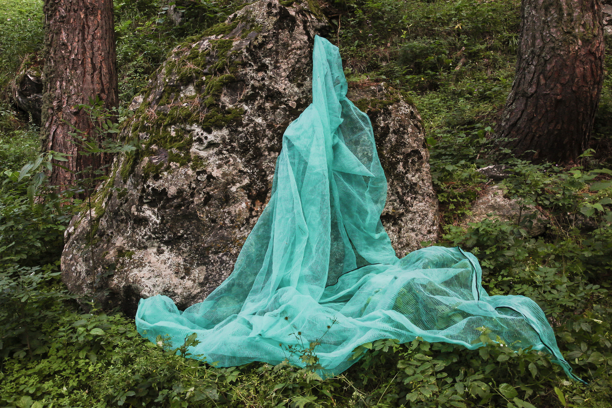 Татьяна Корчагина. Фотограф, художник. Обучение фотографии