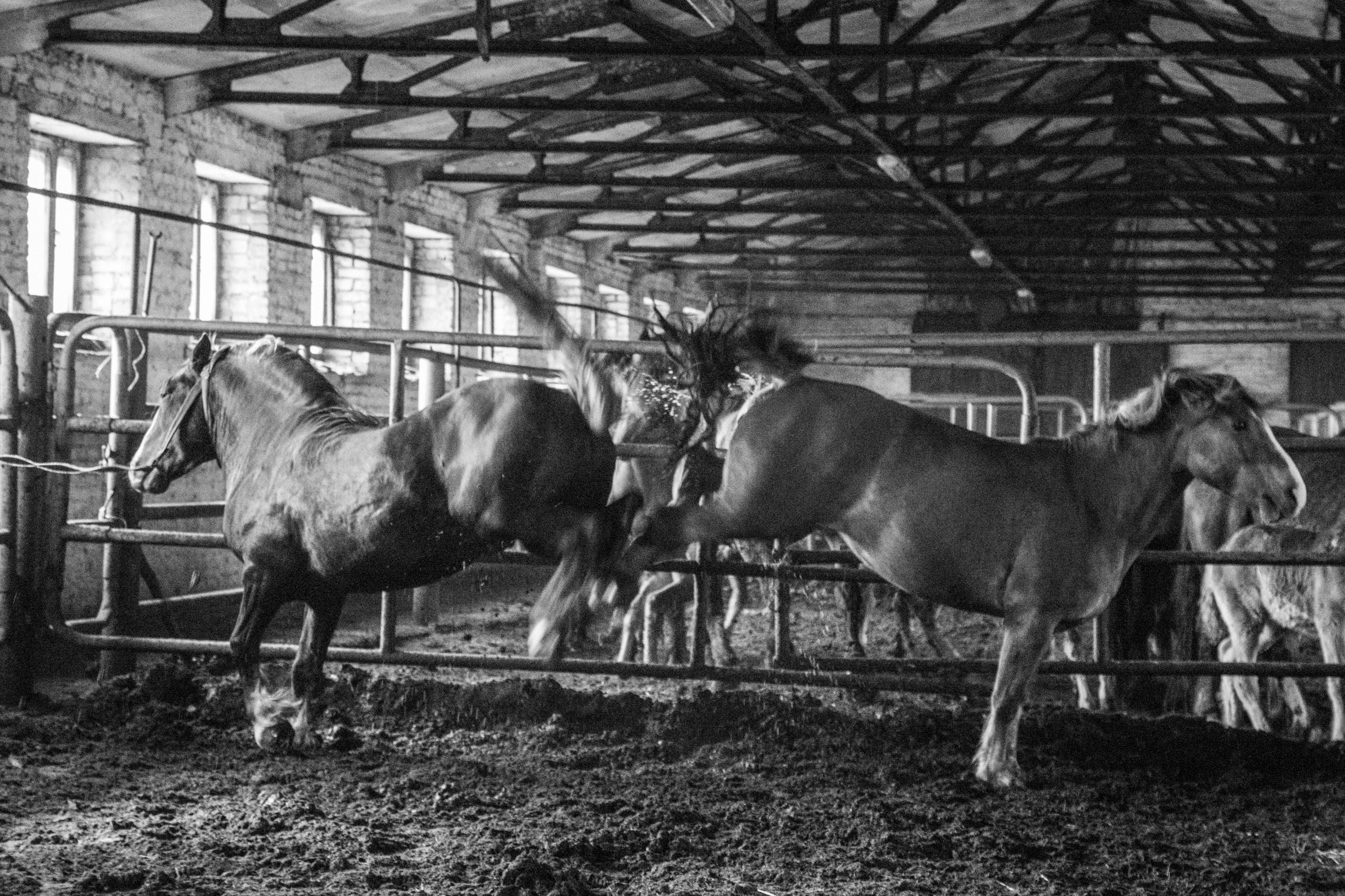 Татьяна Корчагина. Фотограф, художник. Обучение фотографии