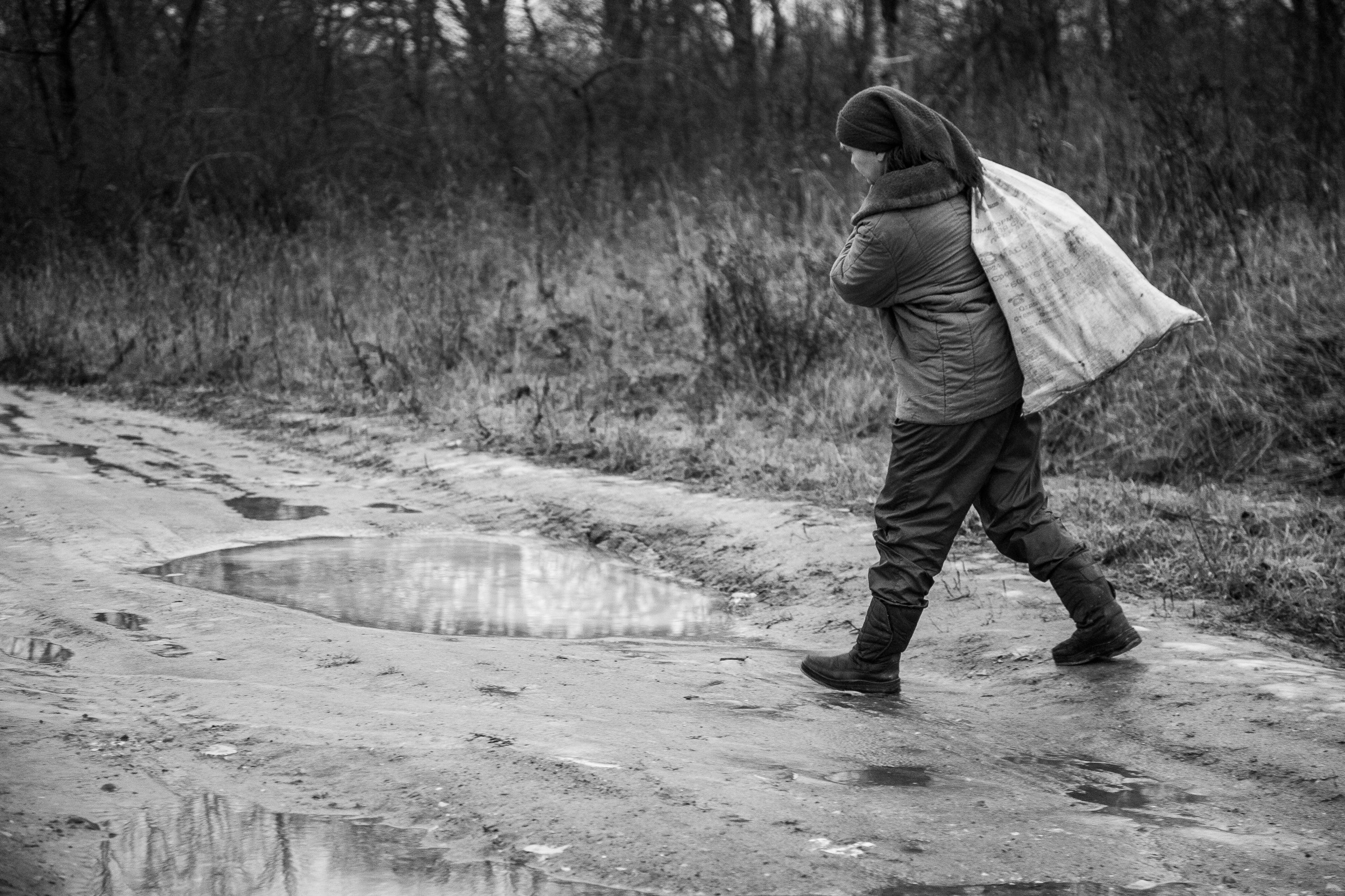 Заготовка дров. Токариха, Тверская область   Фото: Корчагина Татьяна