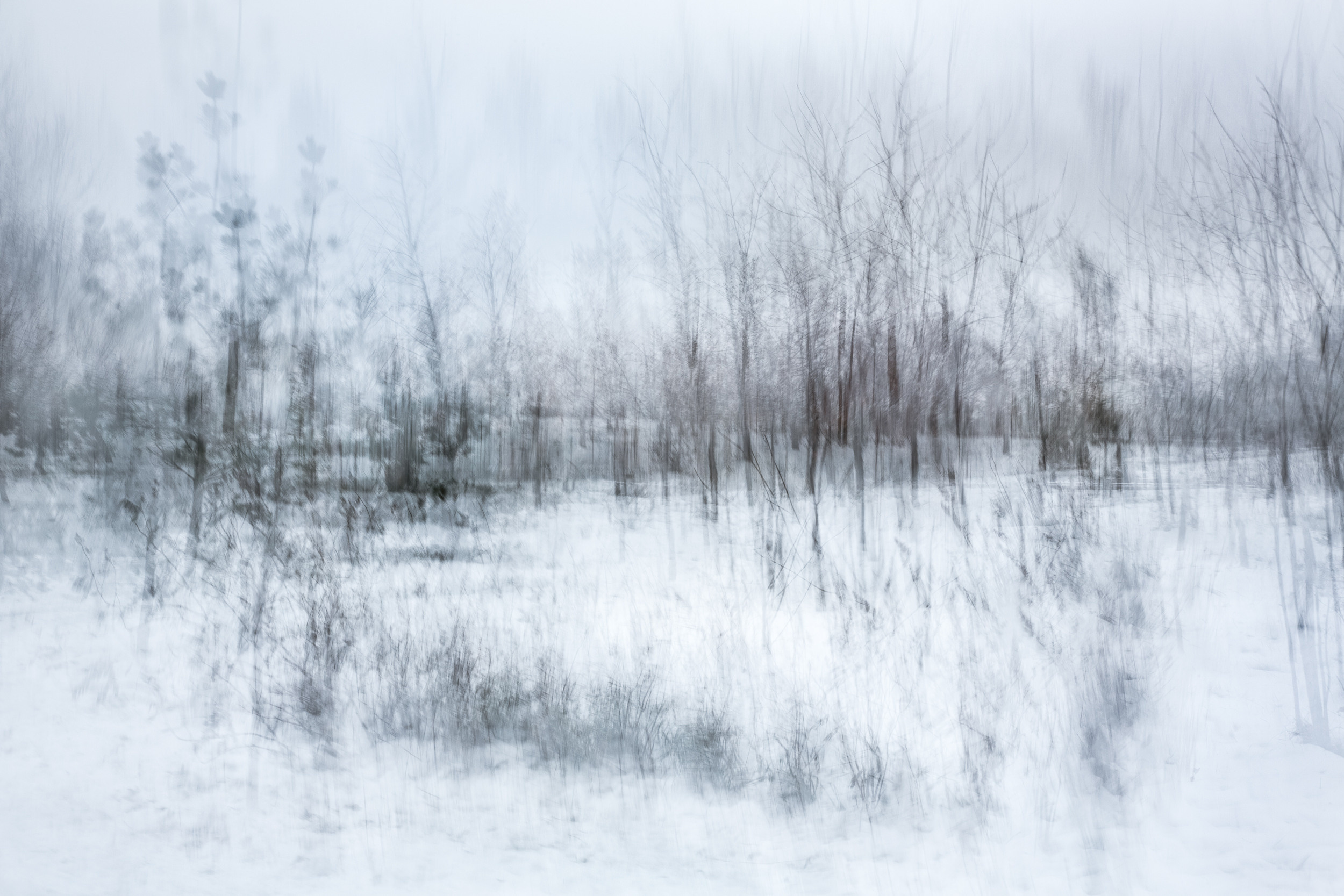 Татьяна Корчагина. Фотограф, художник. Обучение фотографии